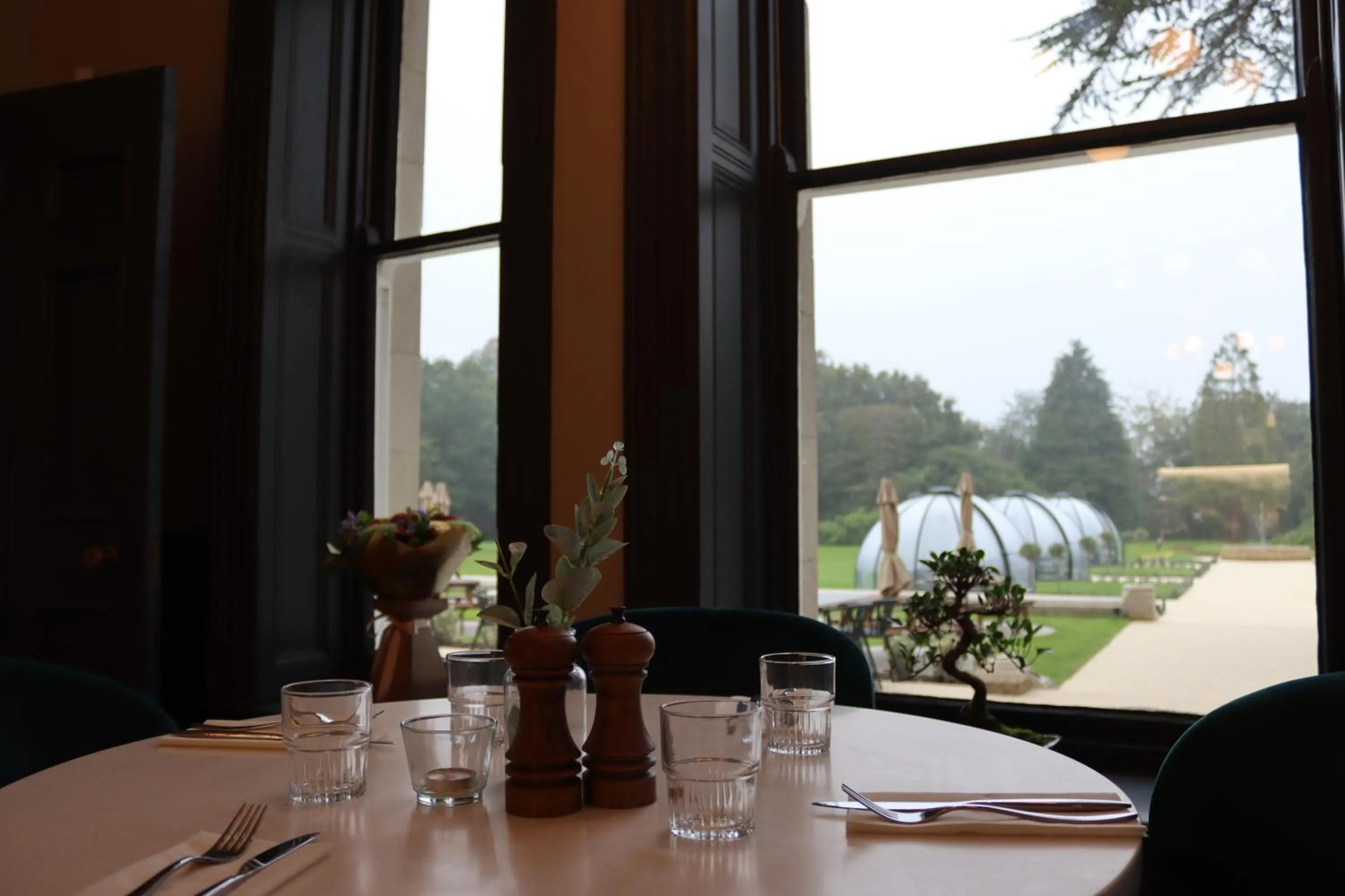 Restaurant/places to eat in Orange Grove Hotel & Gardens