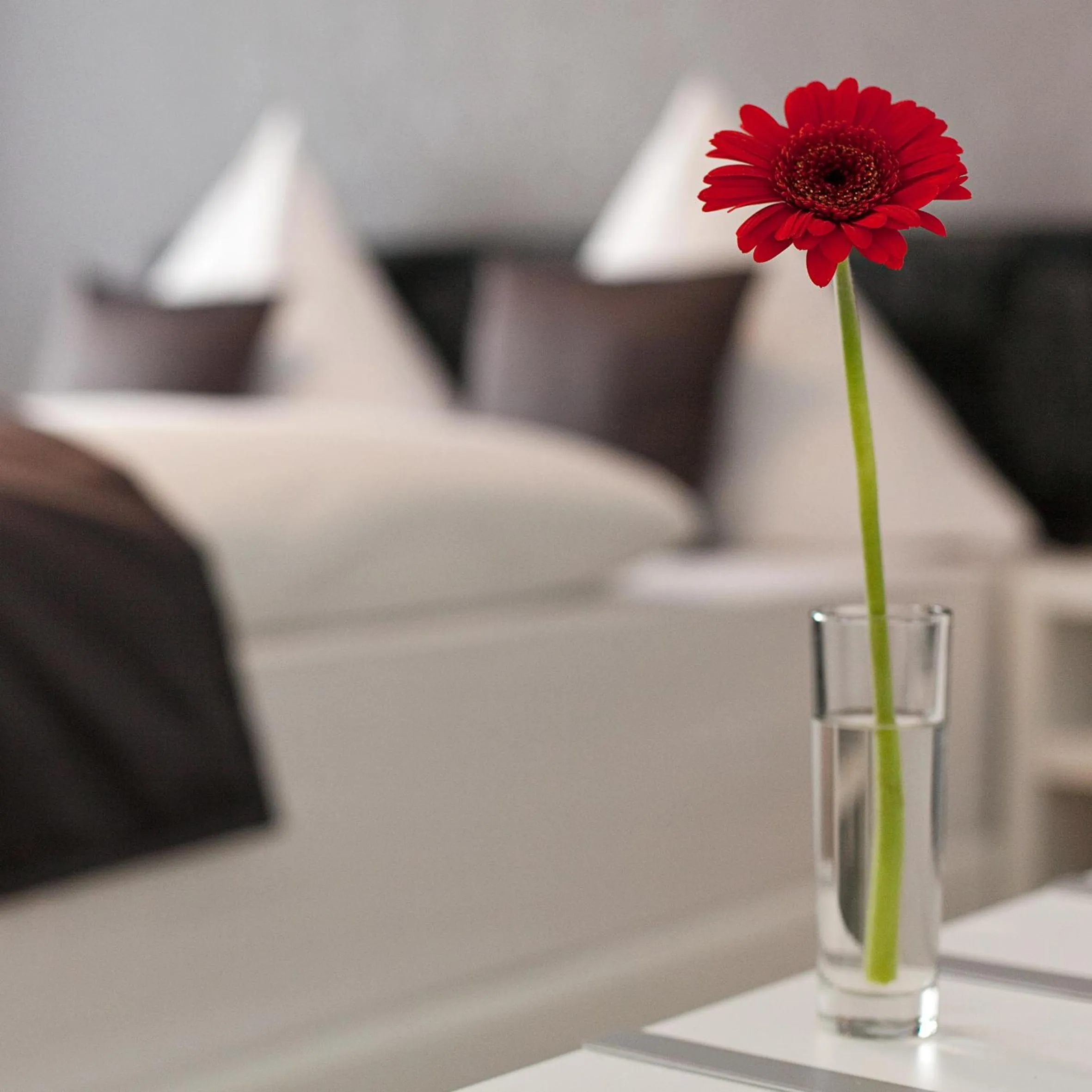 Photo of the whole room, Bed in Hotel Asahi