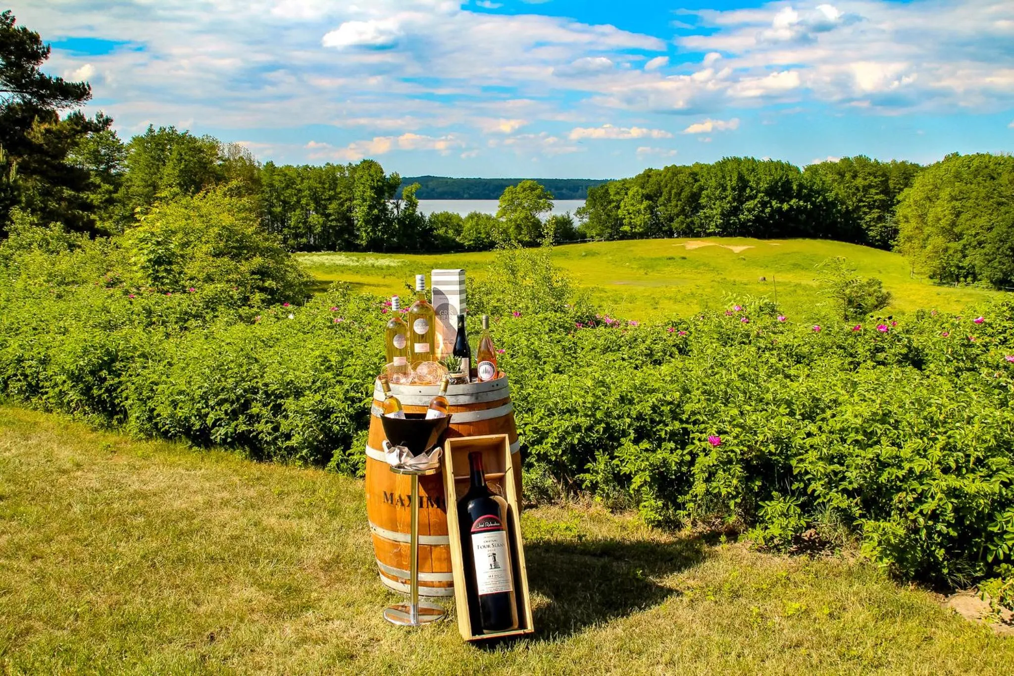 Restaurant/places to eat in Bornmühle