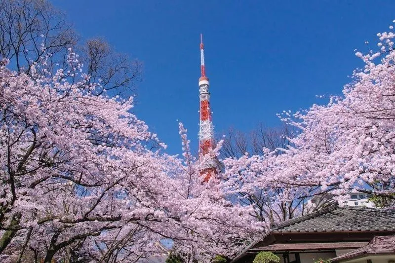 Tokyo Kakan