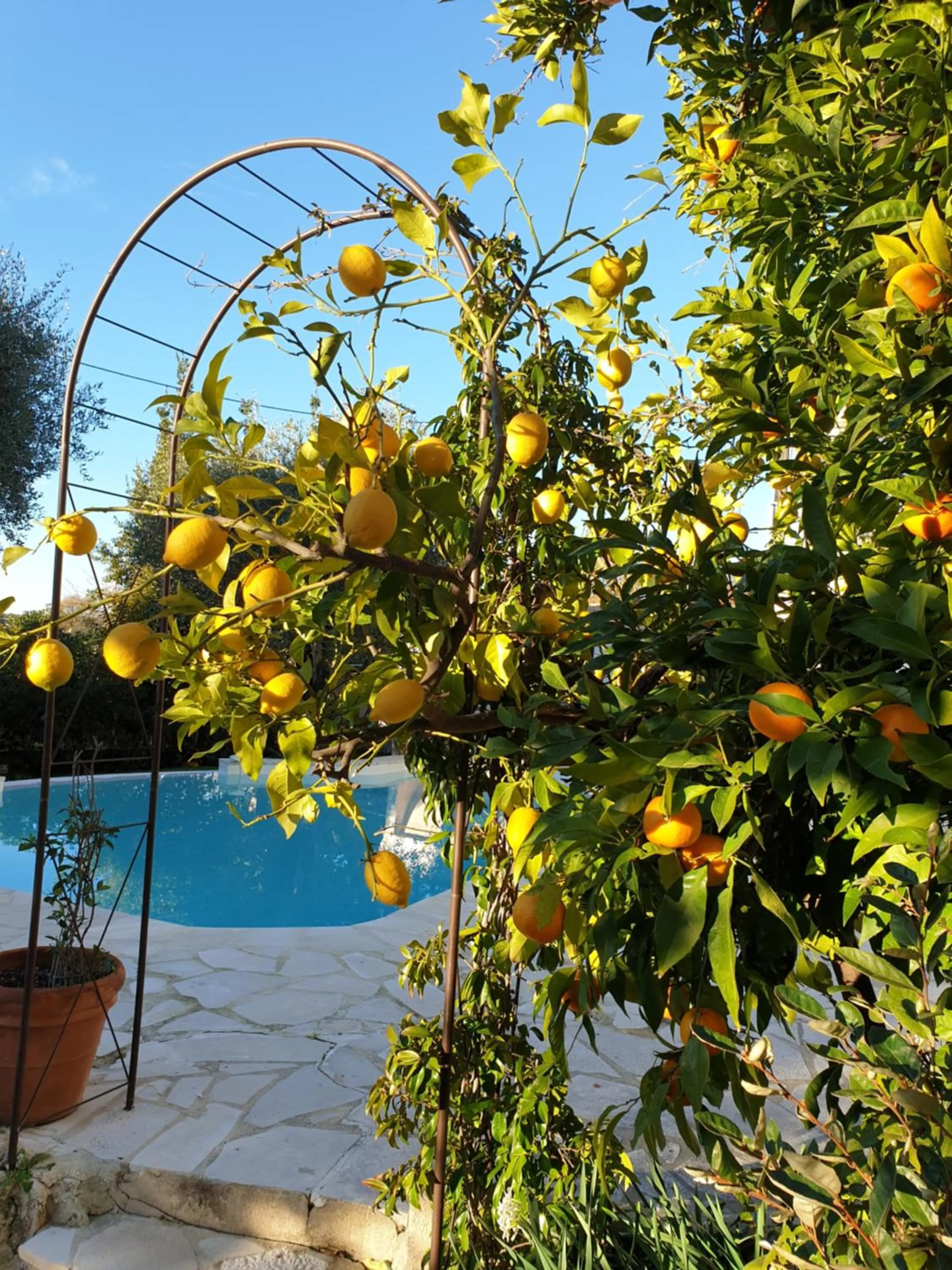 Garden view in Villa Mia