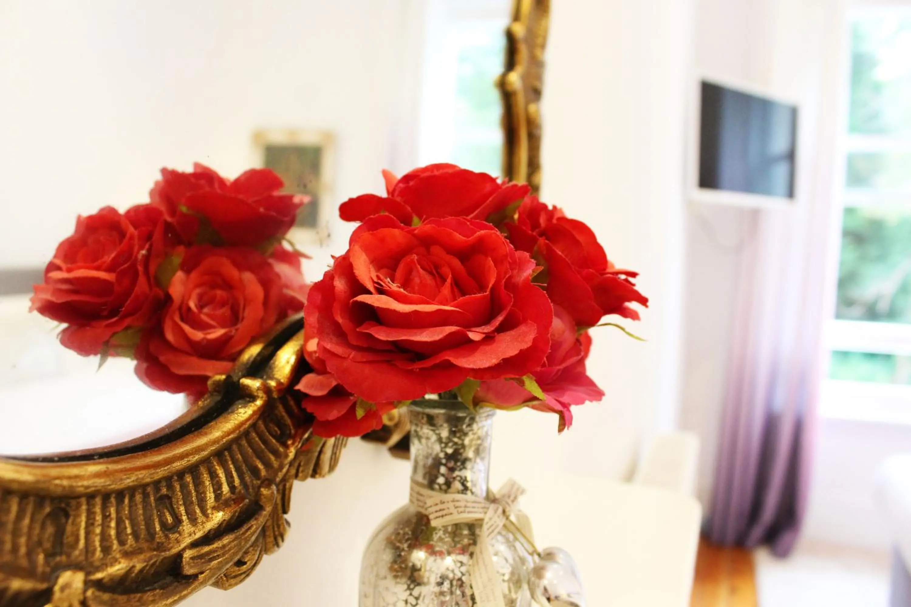 TV and multimedia in Guestling Hall Hotel