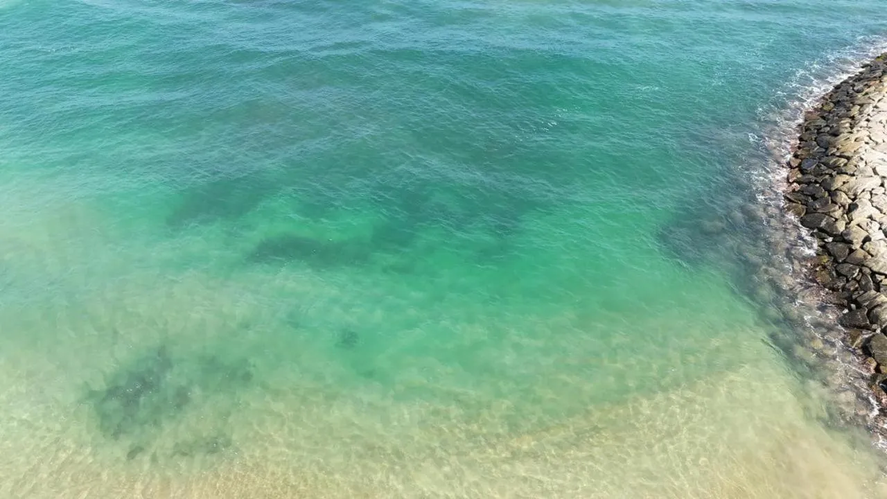 Sea view in Guru Beach Resort