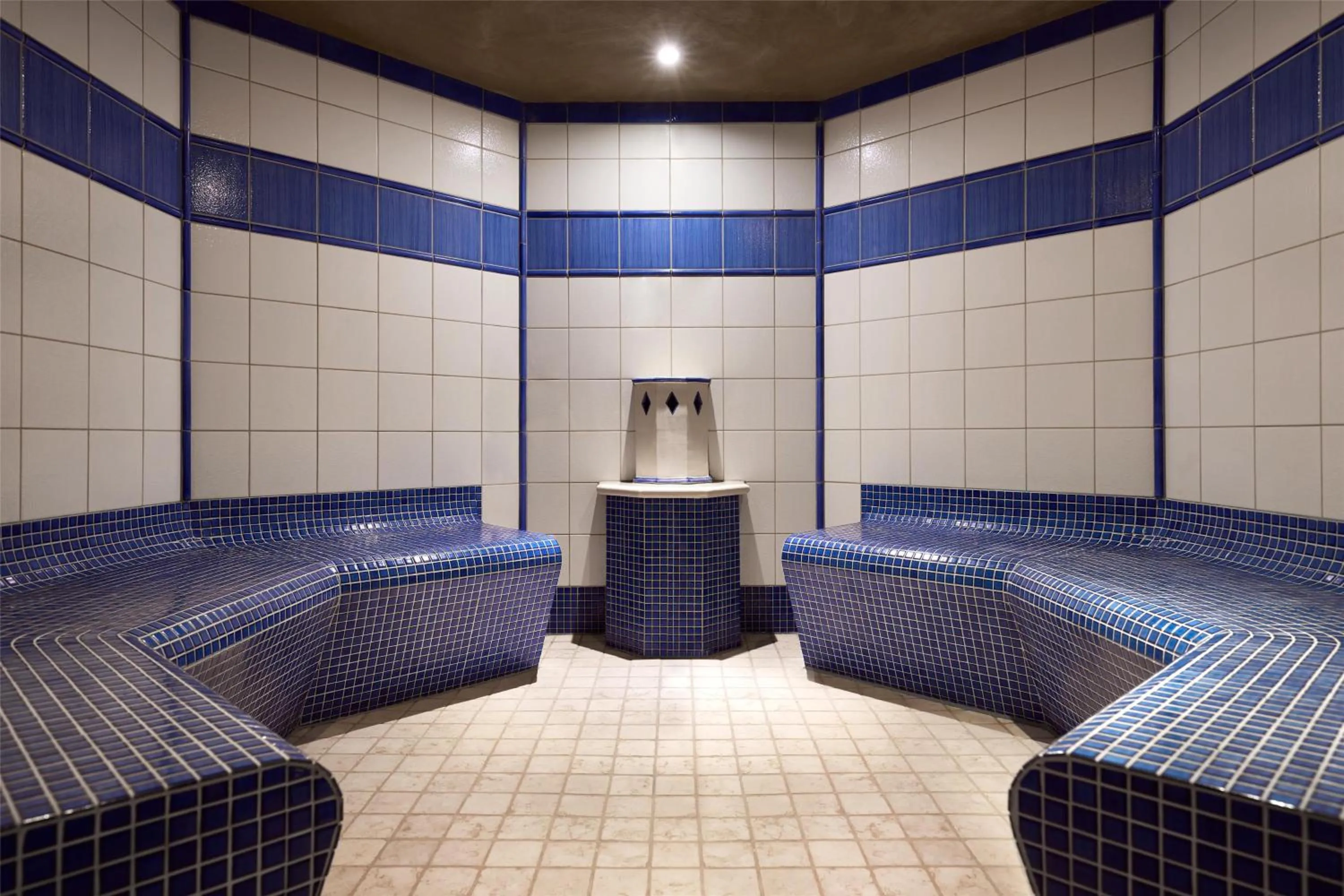 Spa and wellness centre/facilities in Lindner Hotel Leverkusen BayArena, part of JdV by Hyatt