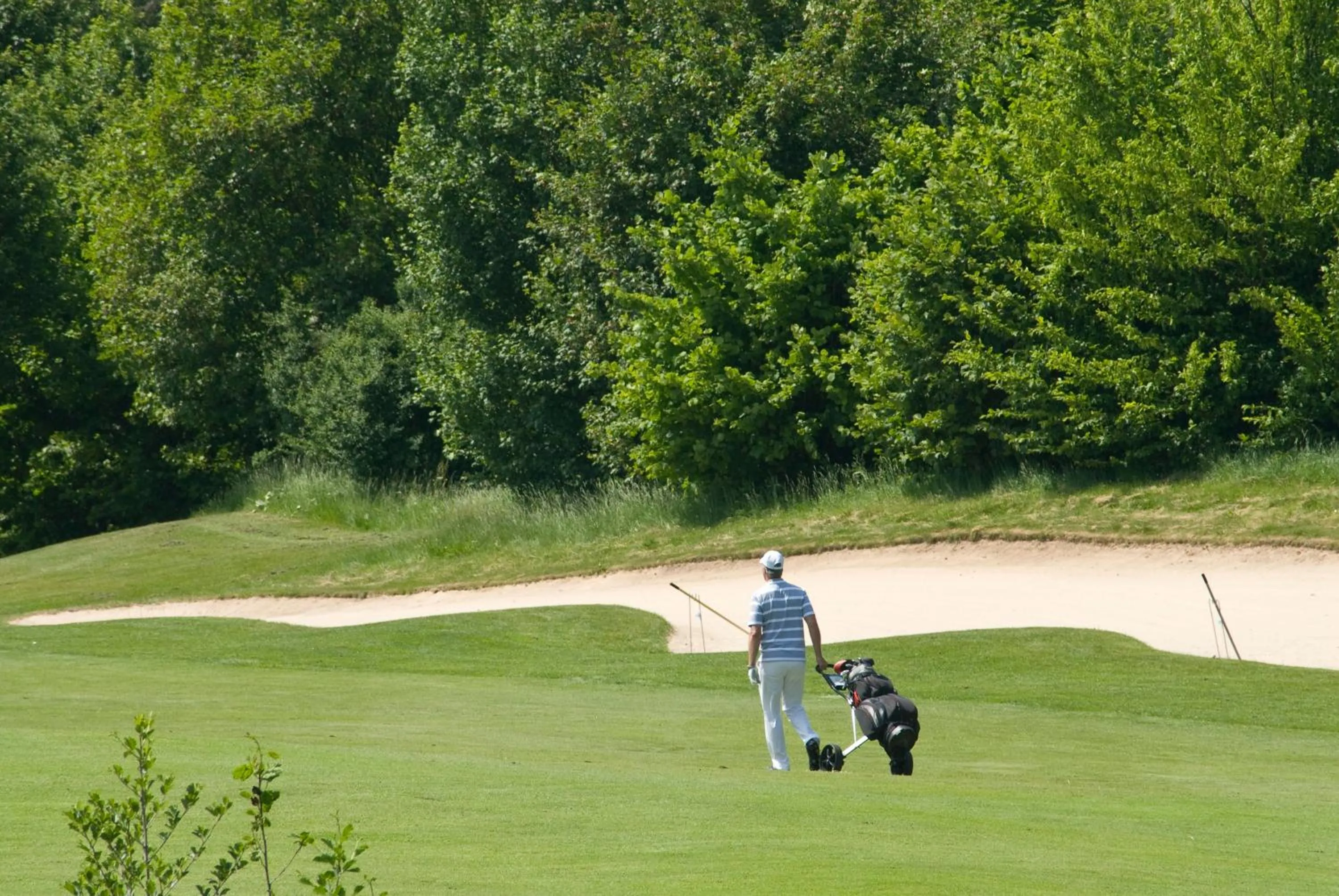 Golfcourse in Golf- und Sporthotel Wiesensee