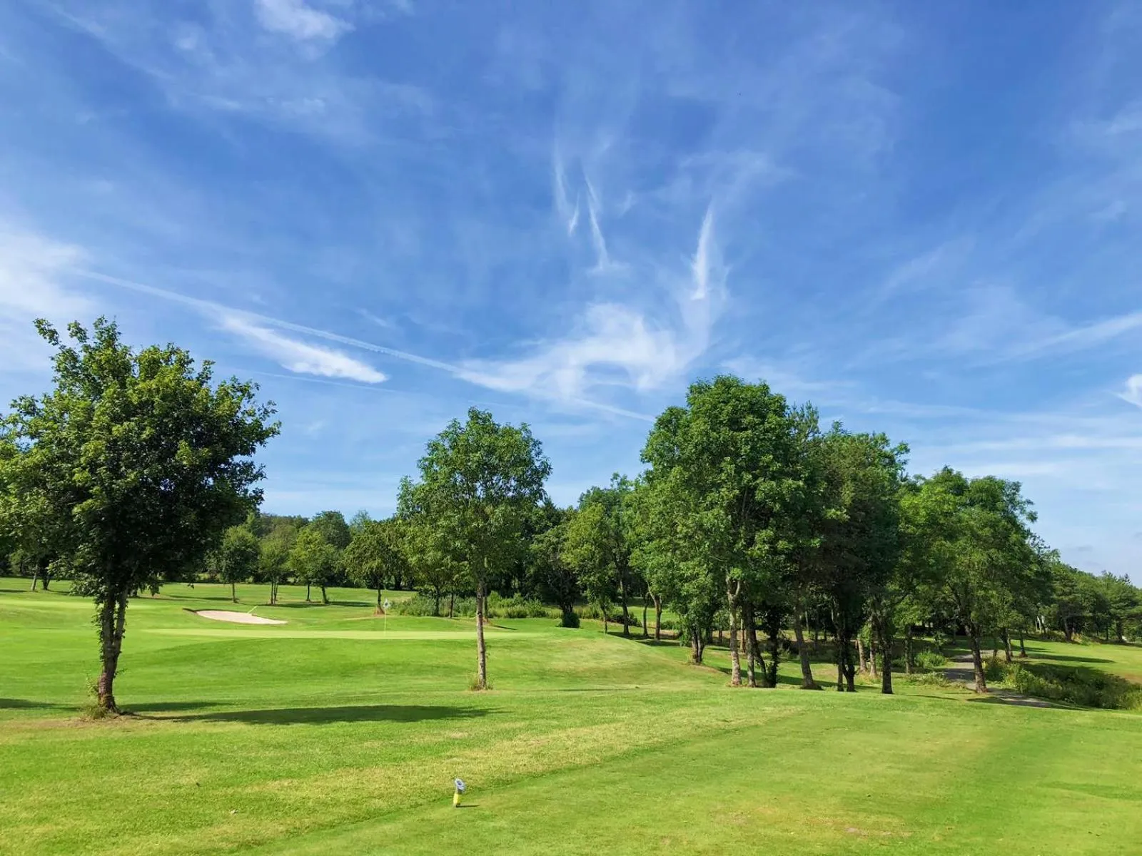 Golfcourse in Golf- und Sporthotel Wiesensee