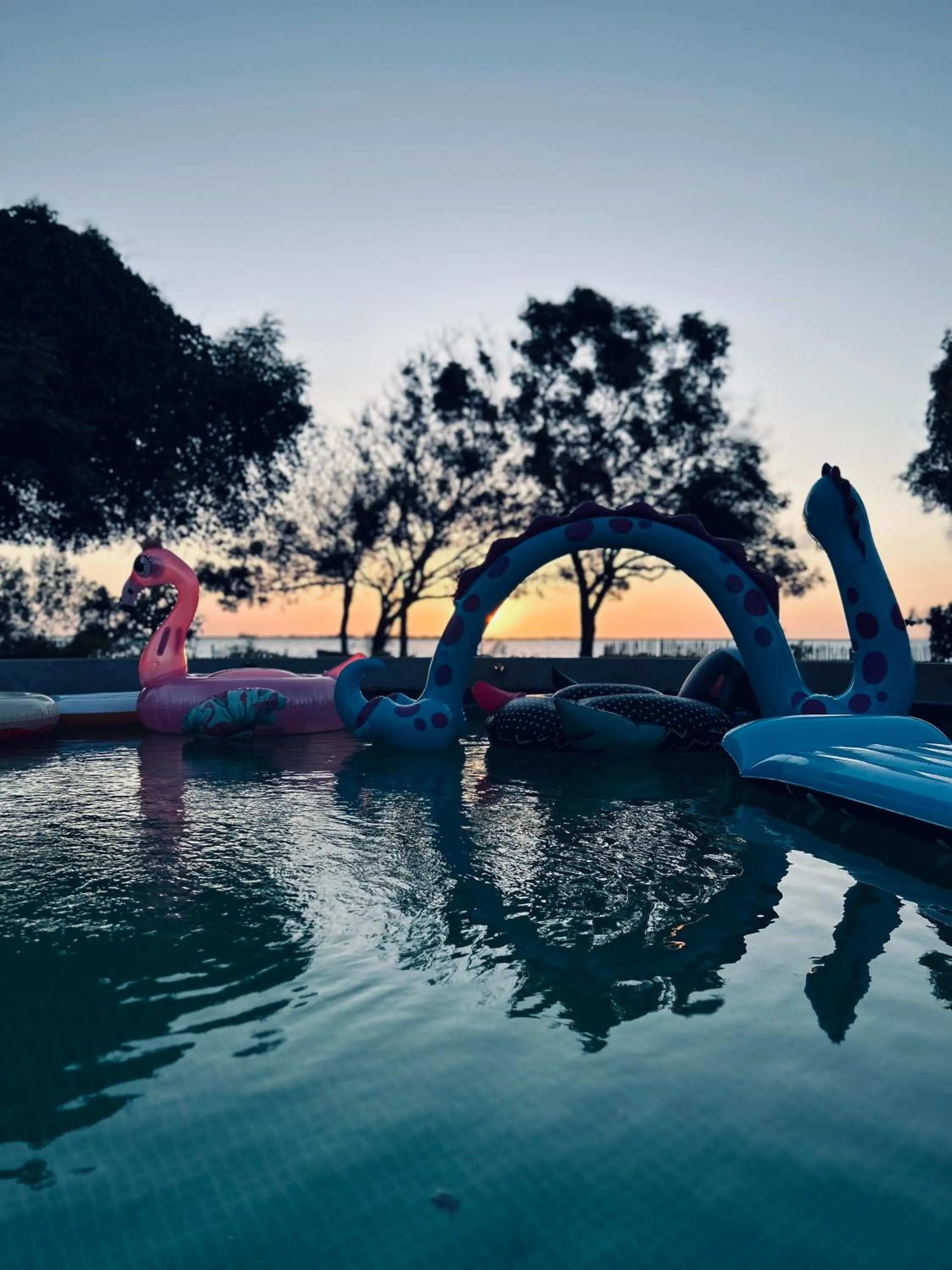 Swimming pool in Arasi Resort