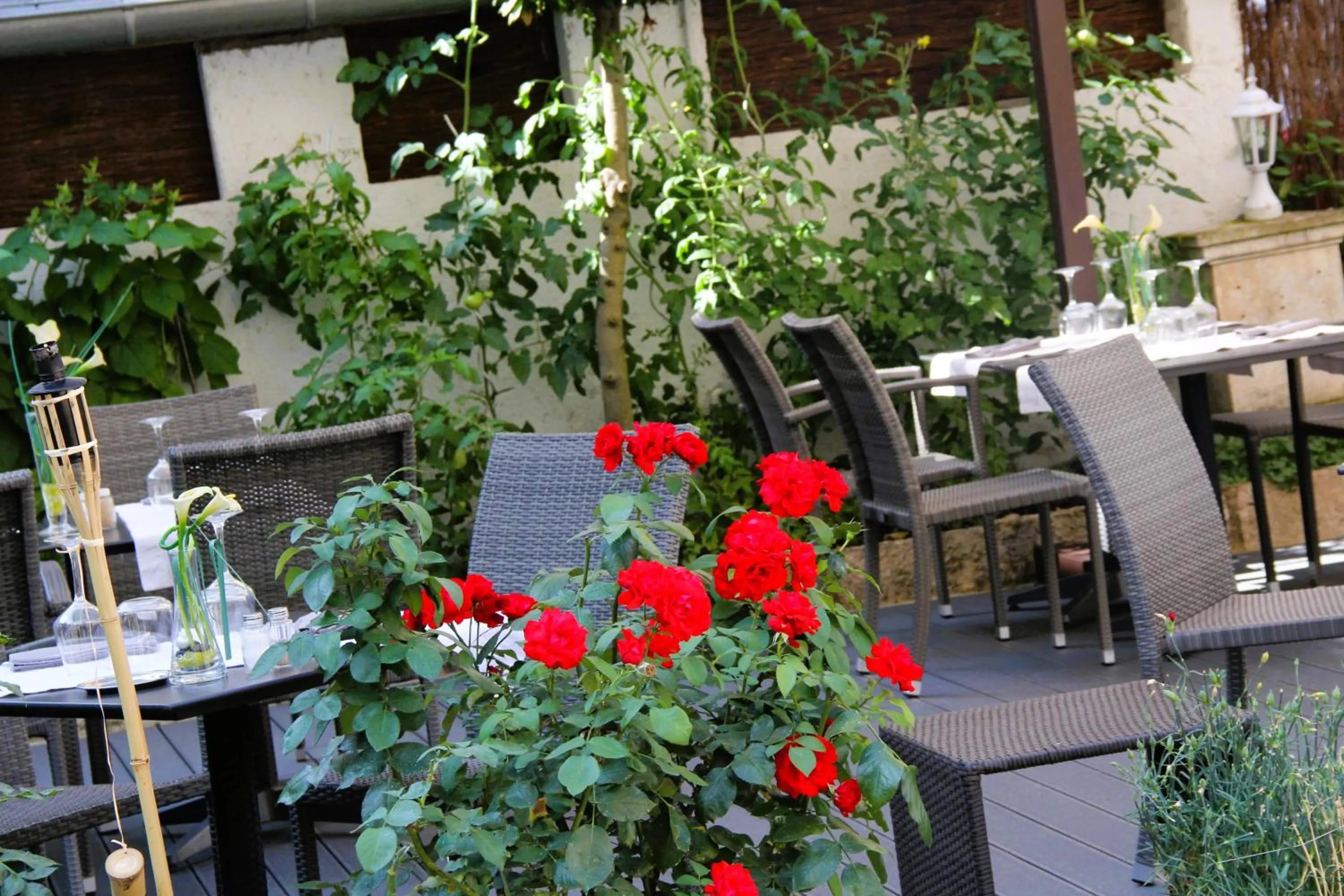 Logis Hôtels Restaurant Les 3 Rois