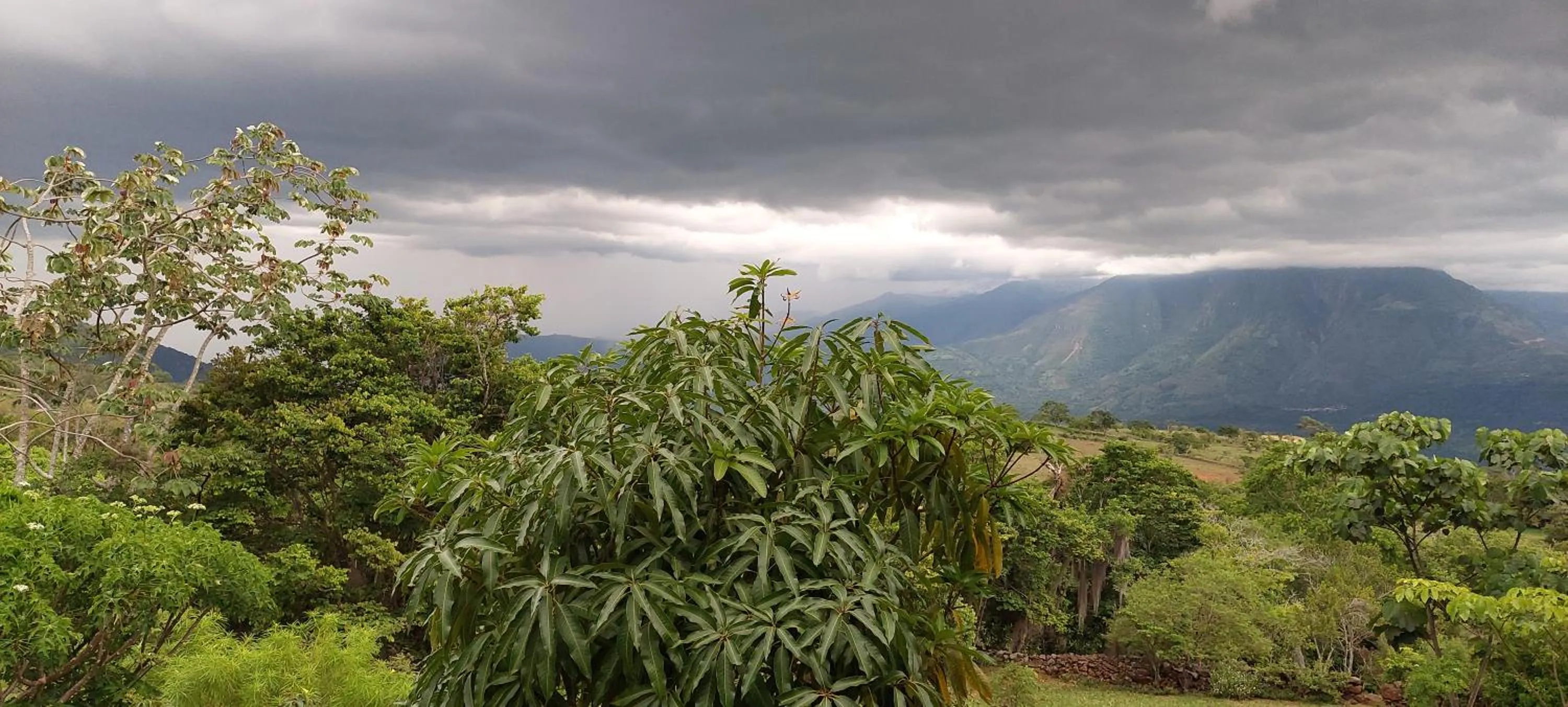 View (from property/room) in El Paraiso - B&B Finca San Vicente