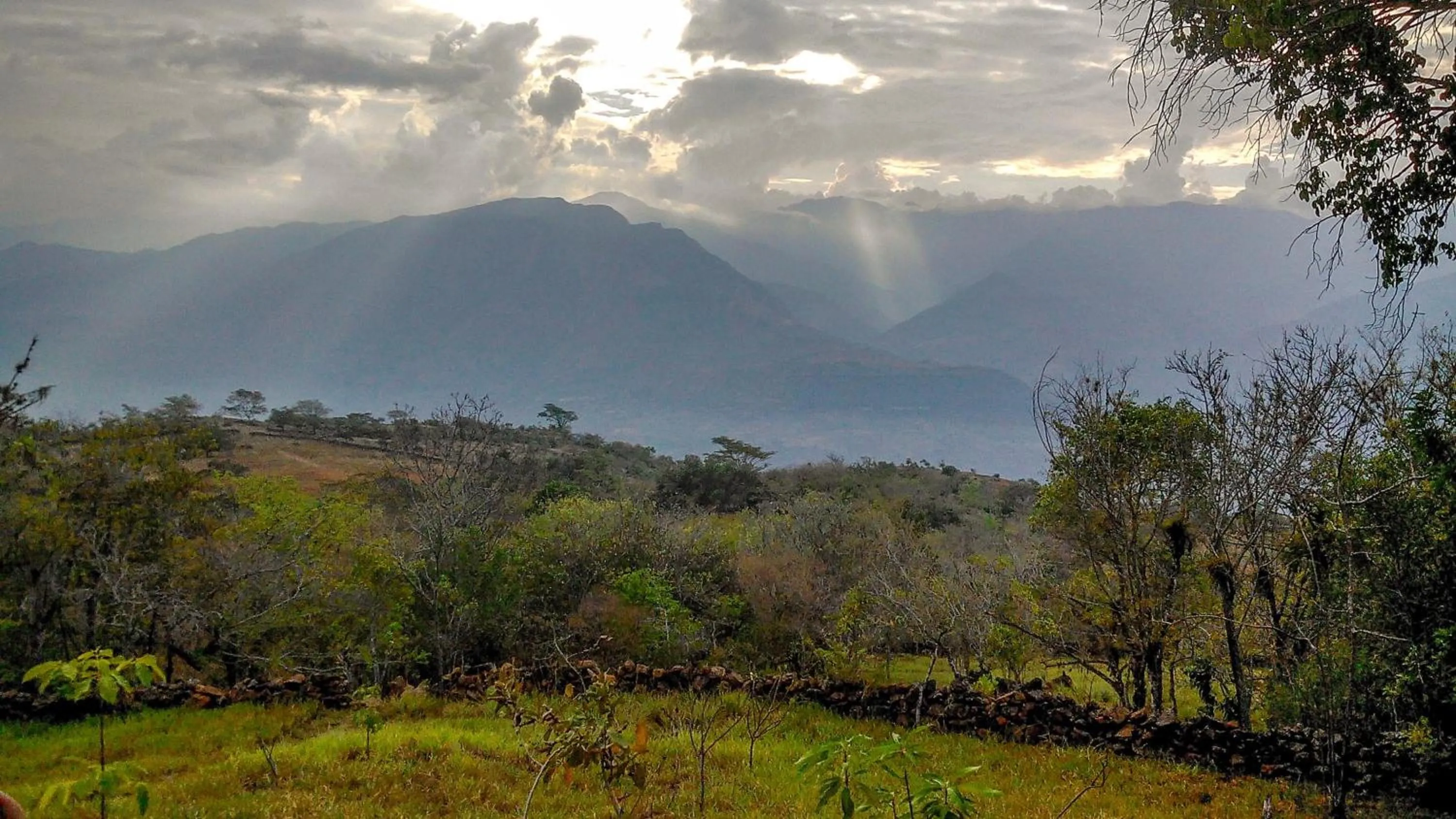 El Paraiso - B&B Finca San Vicente