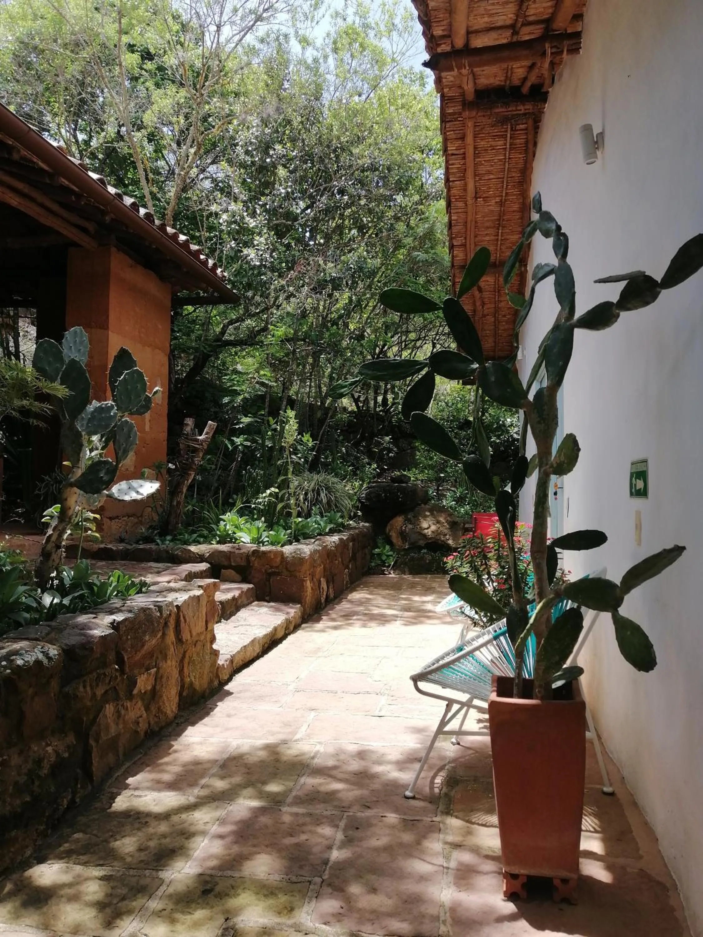 Garden in El Paraiso - B&B Finca San Vicente