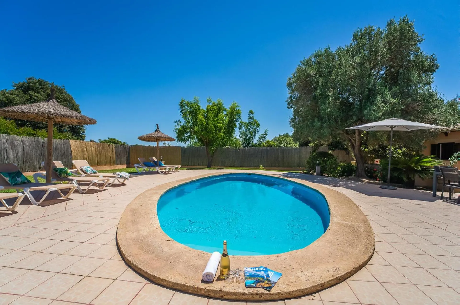 Swimming pool in Ideal Property Mallorca - Finca Toni