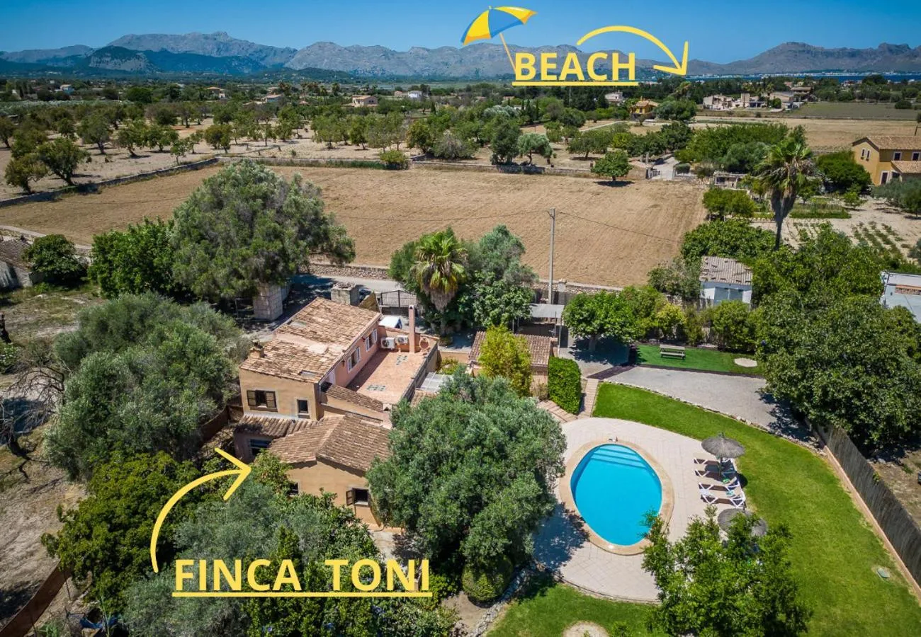 View (from property/room) in Ideal Property Mallorca - Finca Toni
