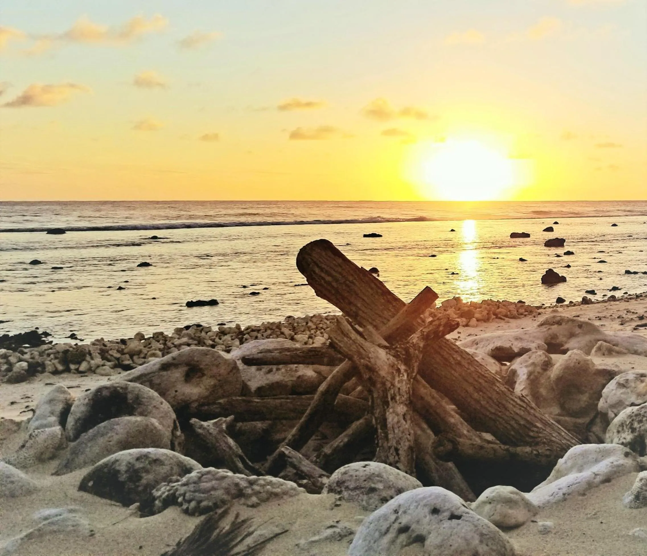 Natural landscape in Ocean Escape Resort & Spa