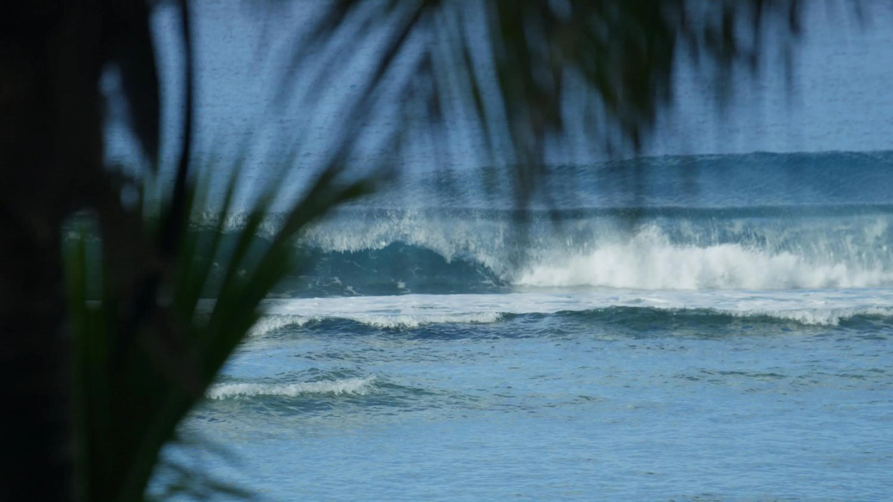 Beach in Ocean Escape Resort & Spa