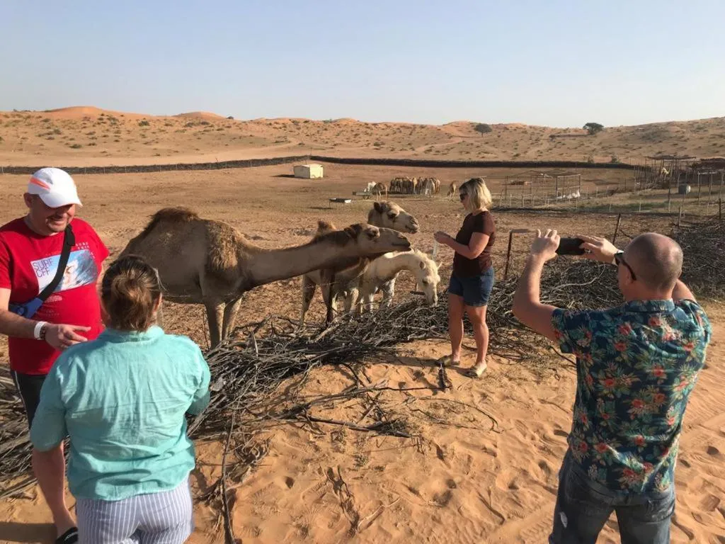 The Dunes Camping & Safari RAK