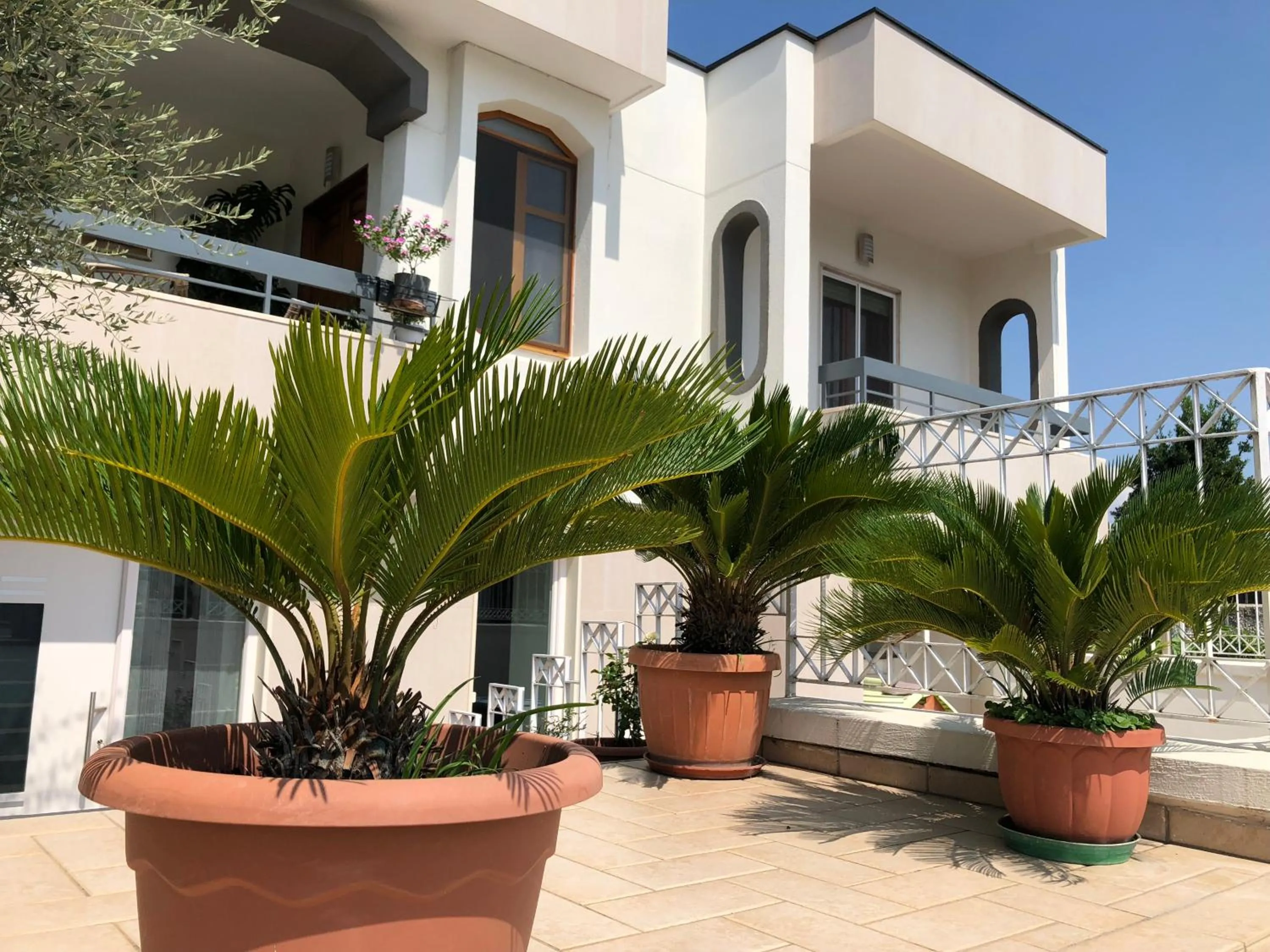 Property building in B&B Vera's Home Pompei