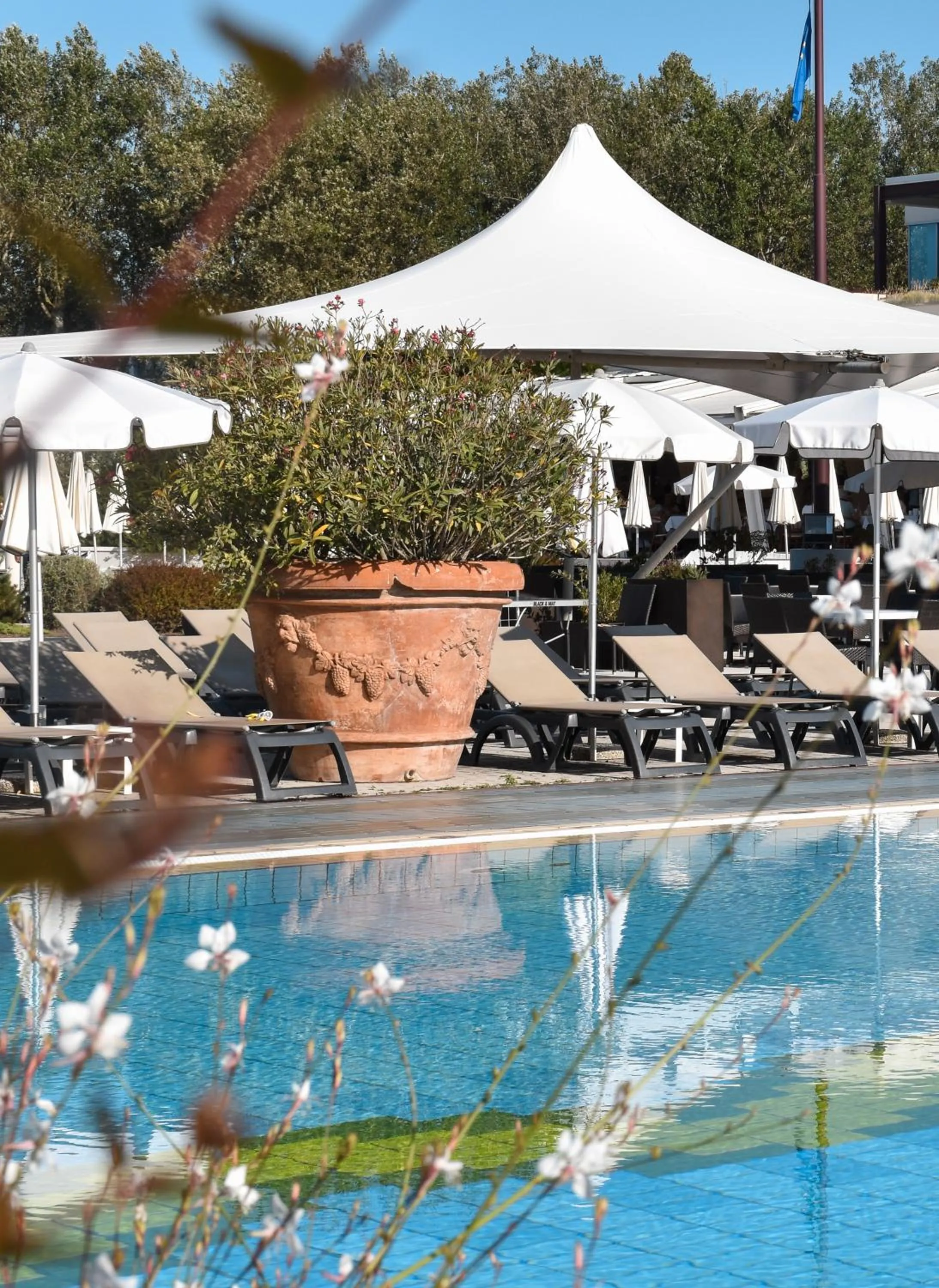 Pool view in Aparthotel Holiday