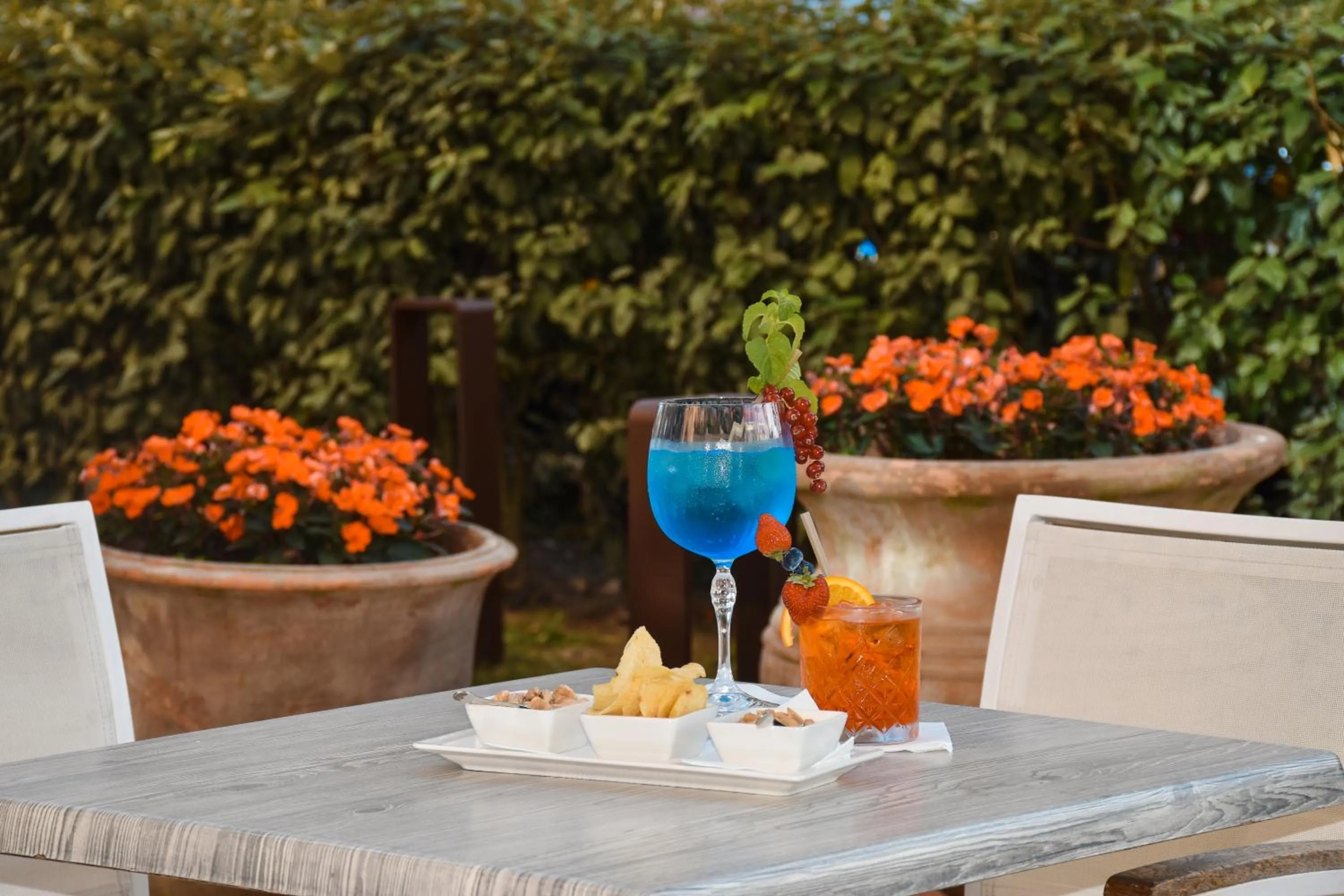 Food and drinks in Aparthotel Holiday