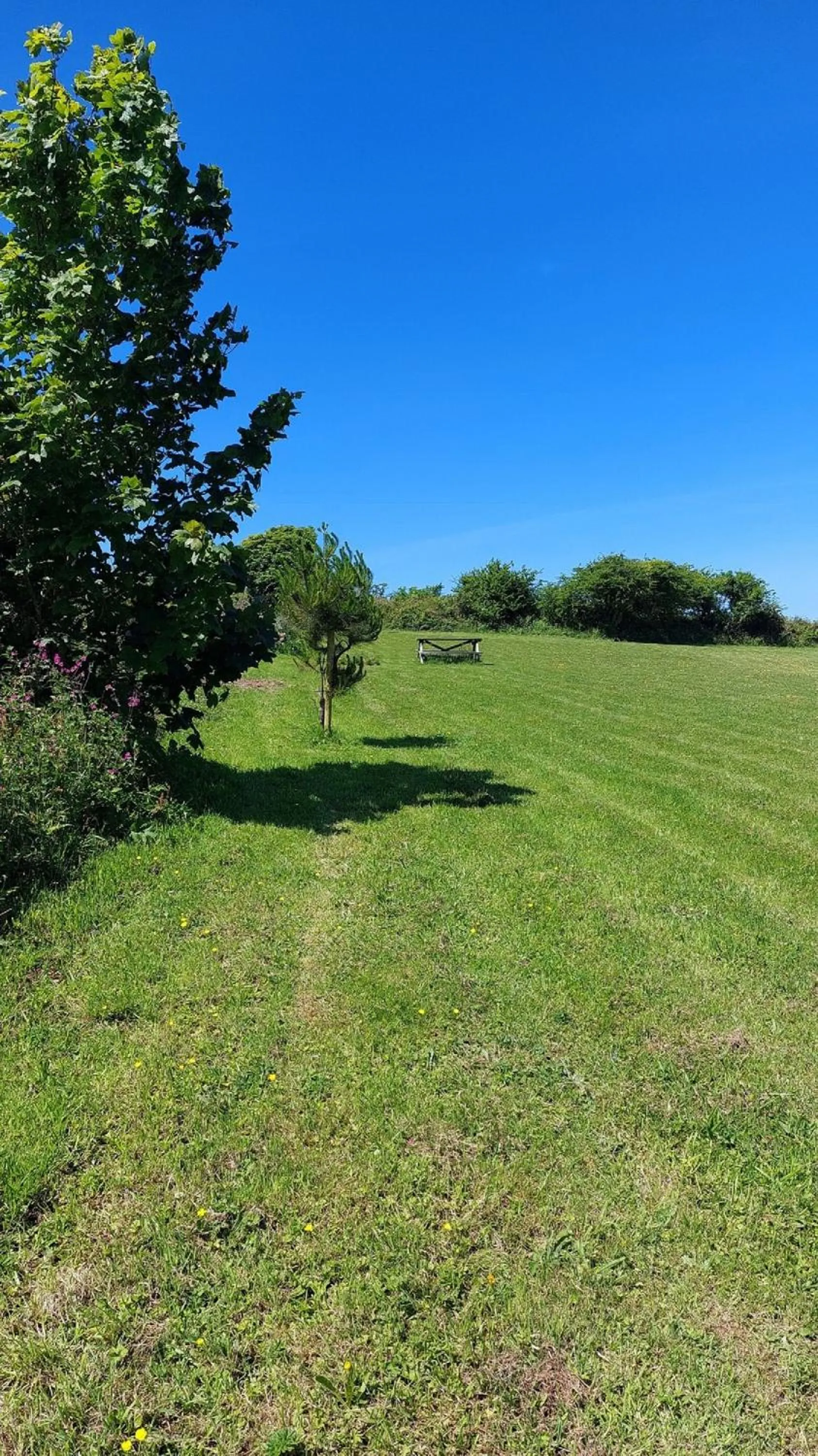 Wesley House Holidays - Choice of 2 Quirky Cottages in 4 private acres