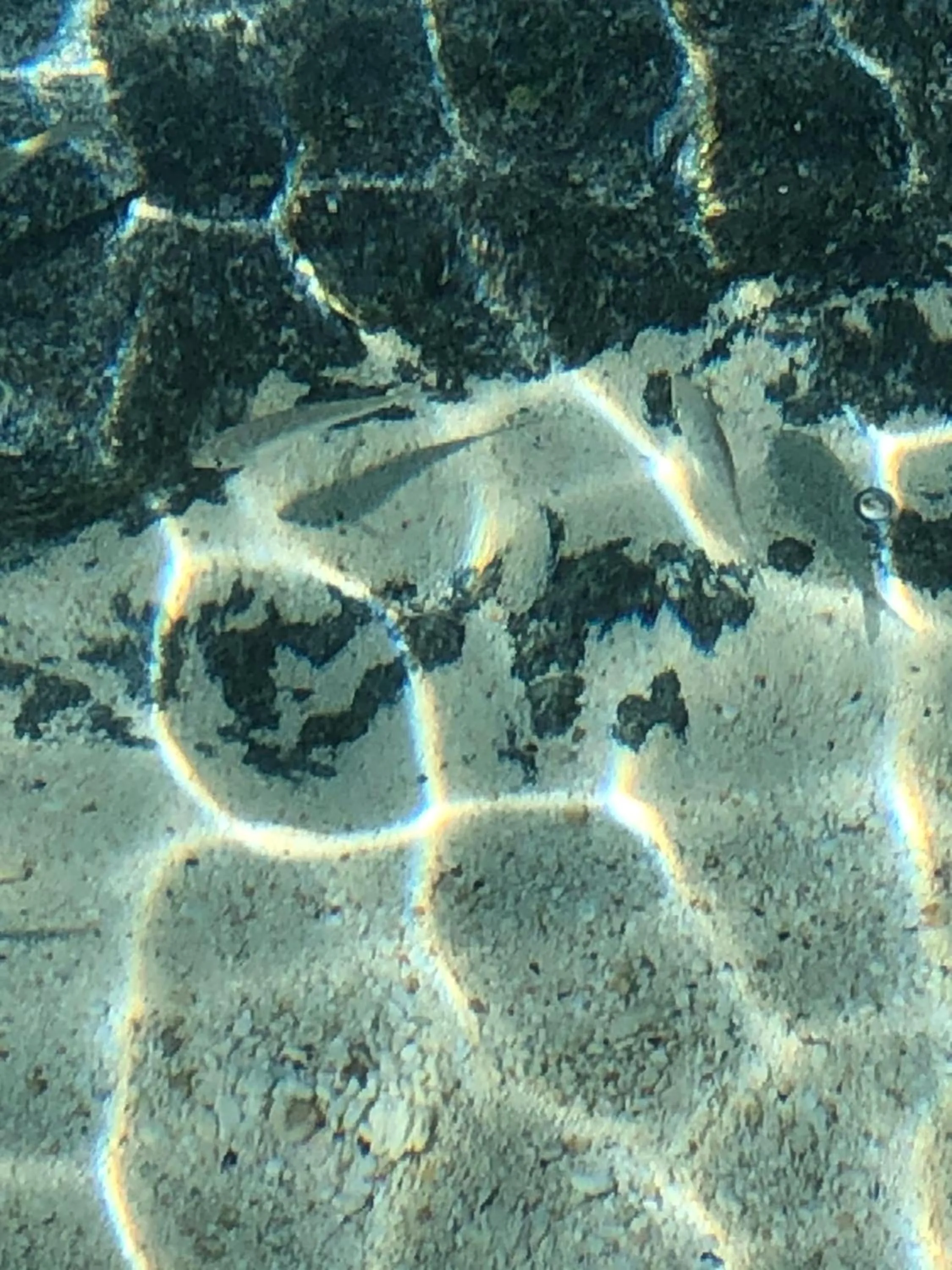 Beach in The Sunset Cove and Rainbow Room