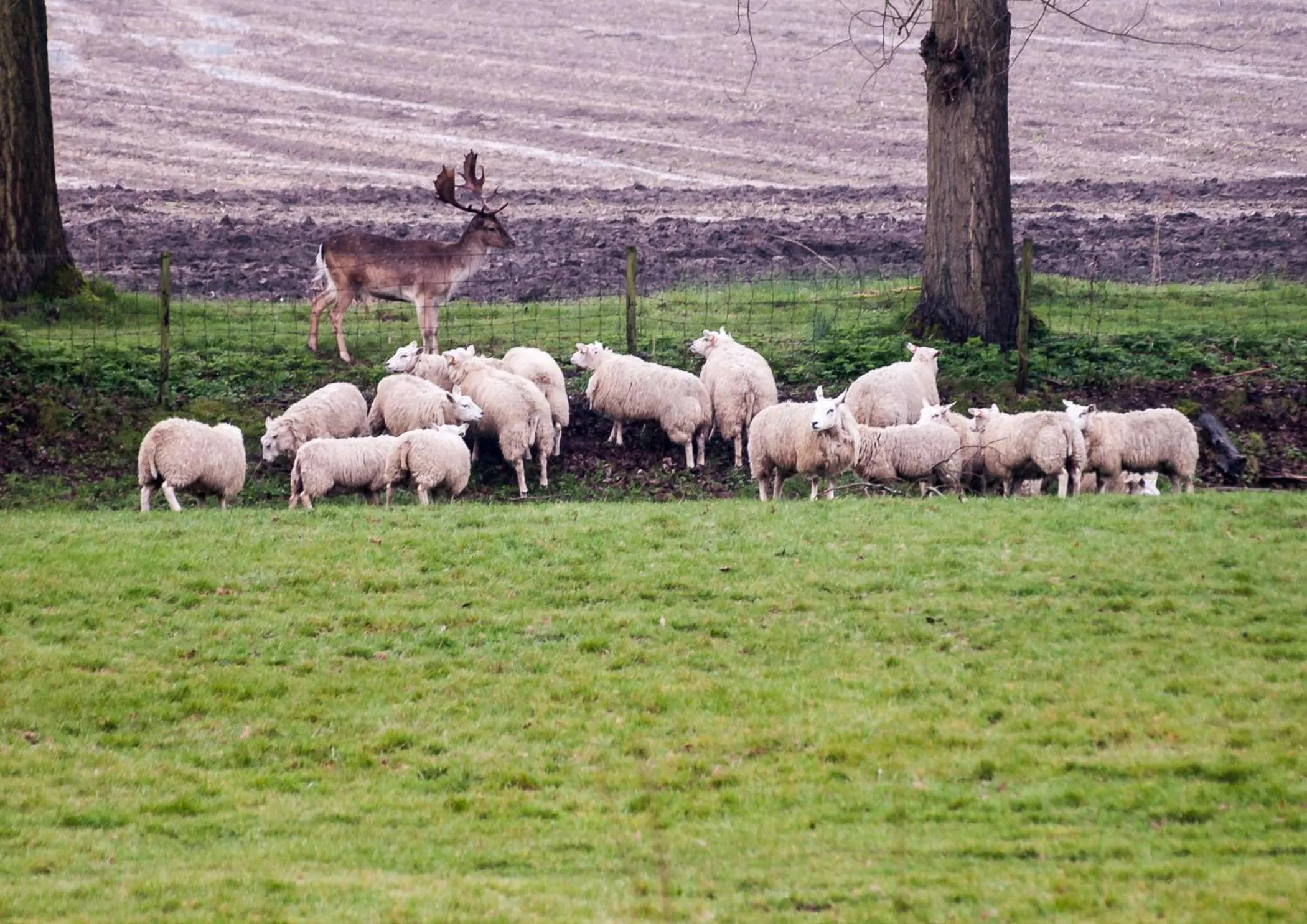 Spring in Bed & Breakfast De Schuur Inn