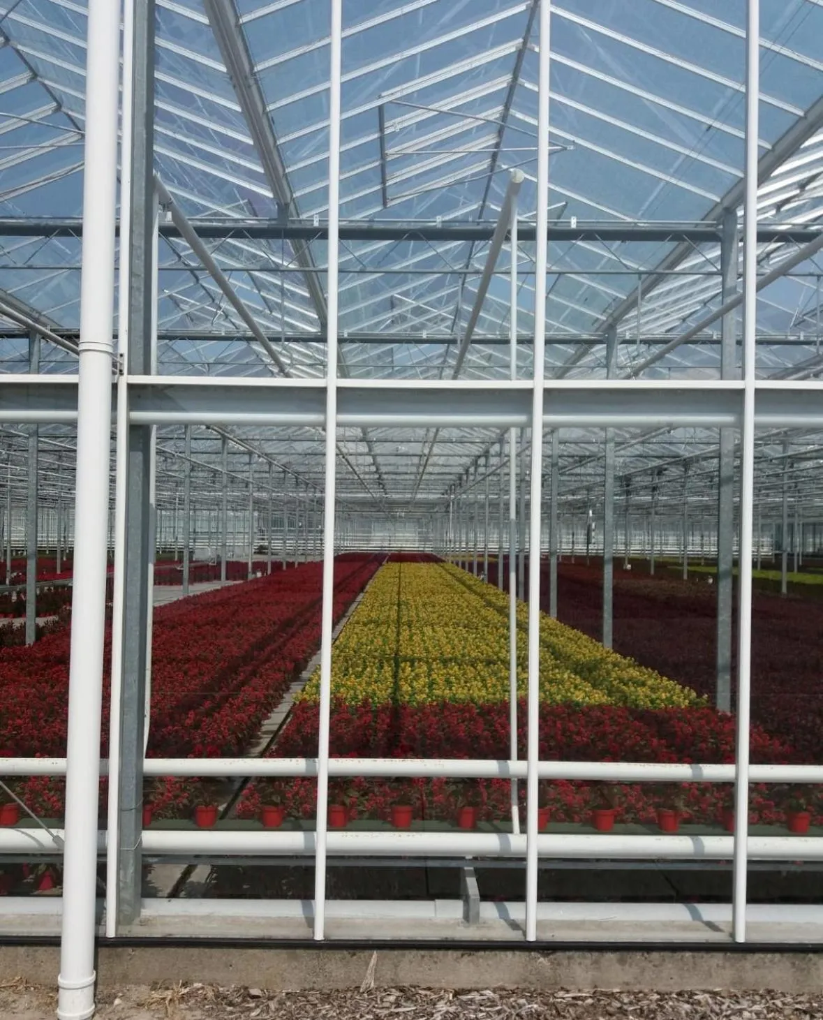 Neighbourhood in B&B Bij tante Teun