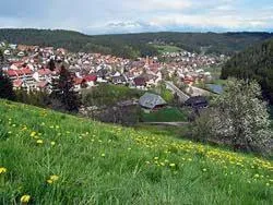 Area and facilities in Gasthof Adler
