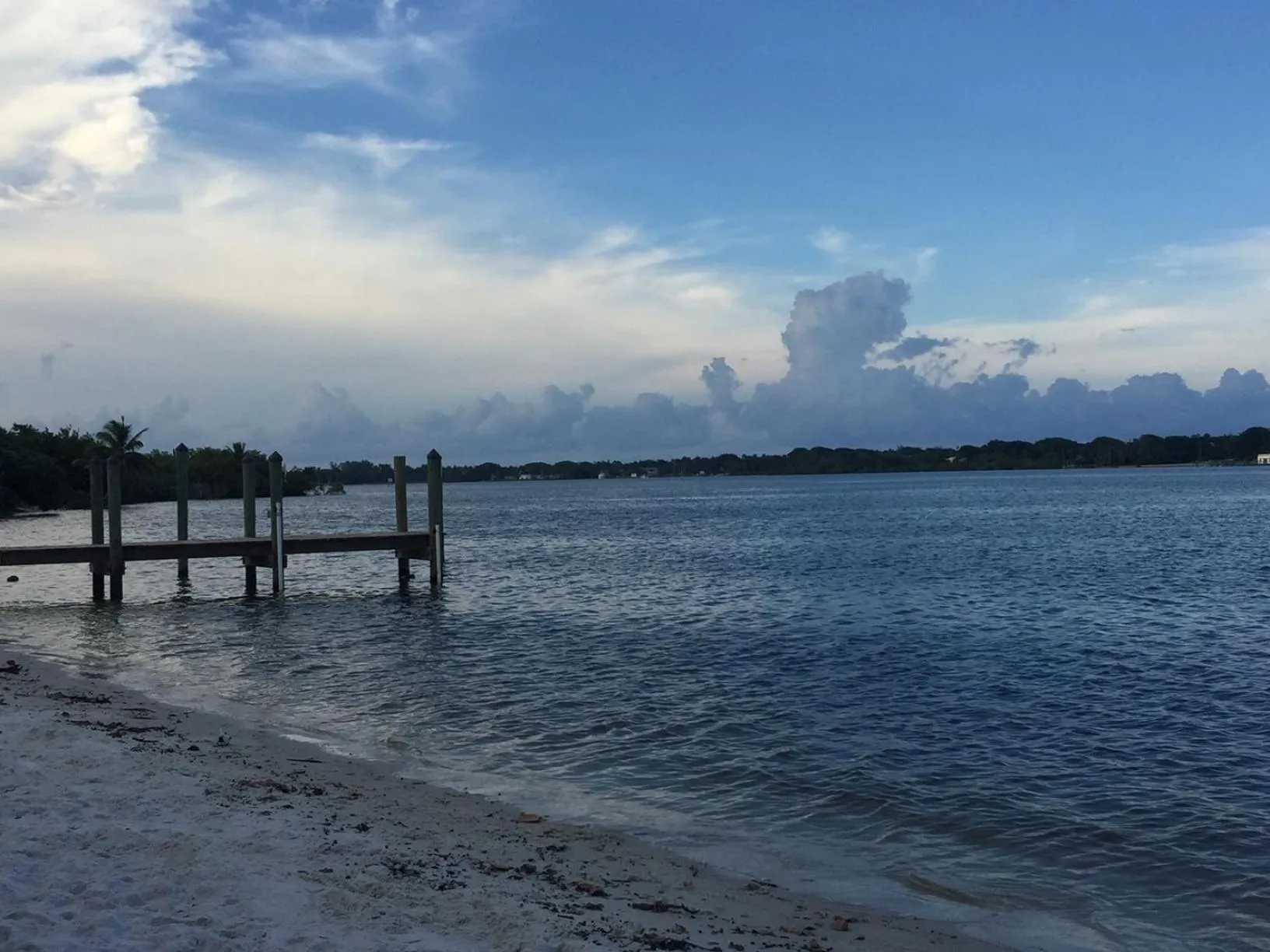 Natural landscape in Palm Beach Mermaid