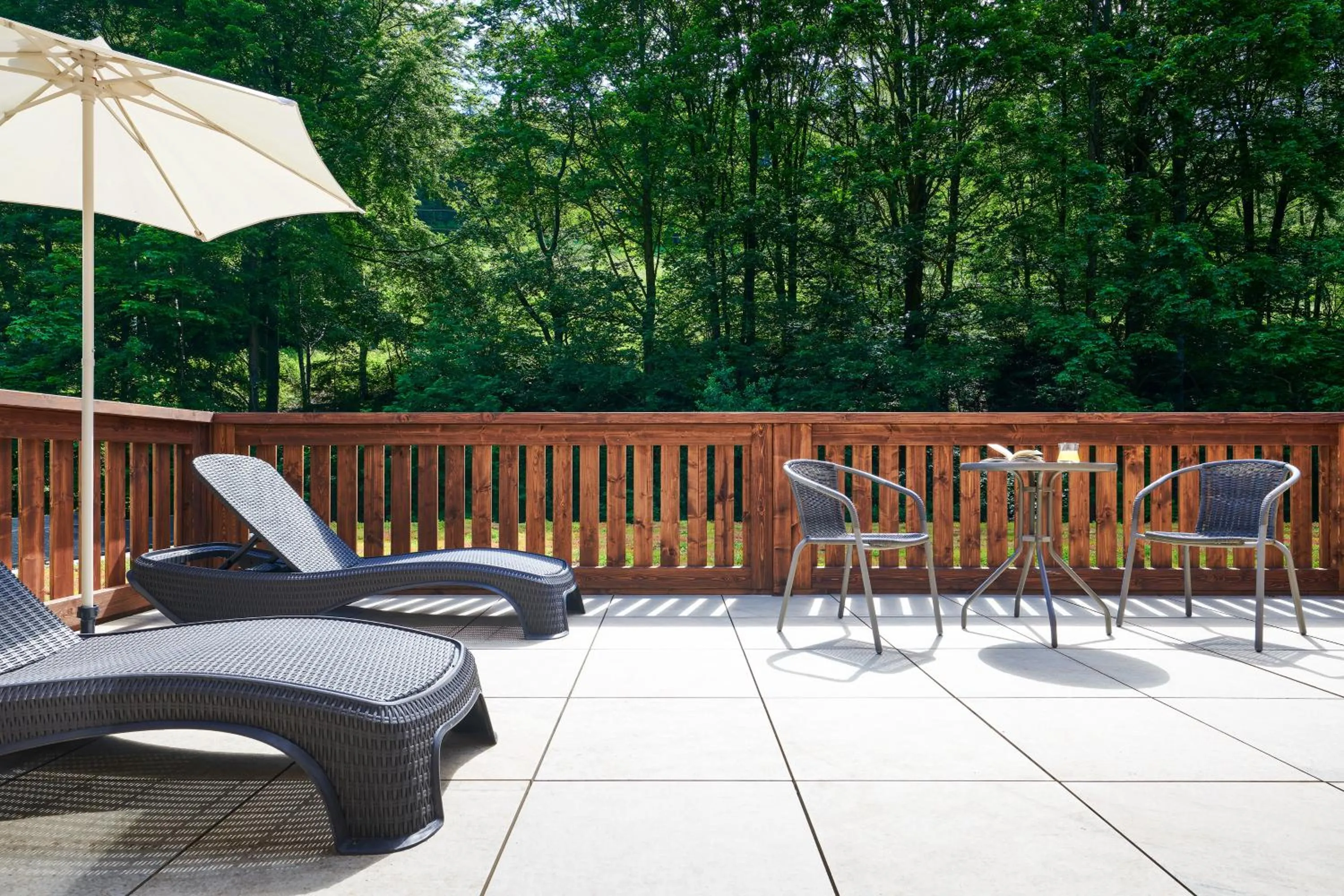 Balcony/Terrace in Hotel Singer