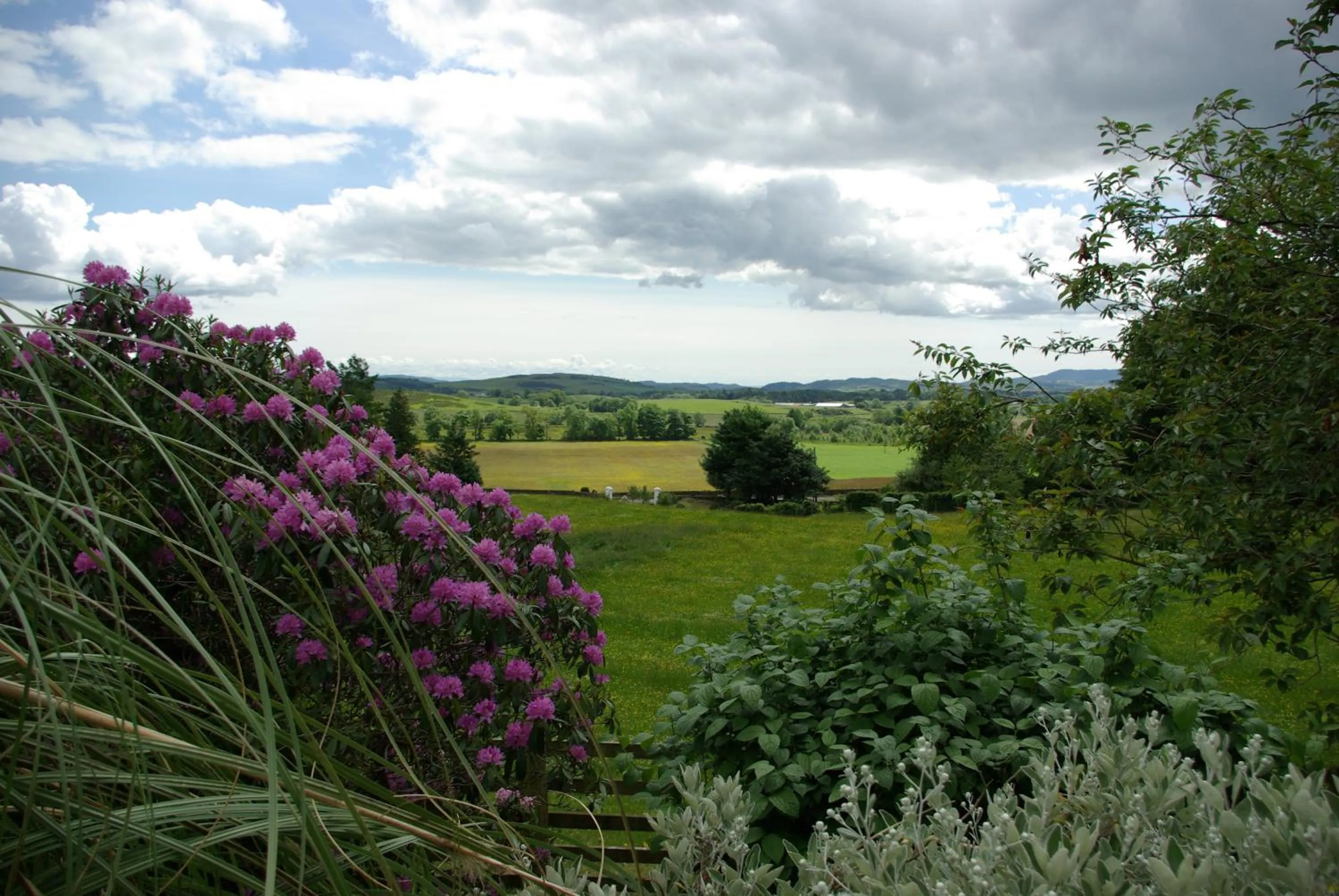 View (from property/room) in Craigadam Country House Hotel