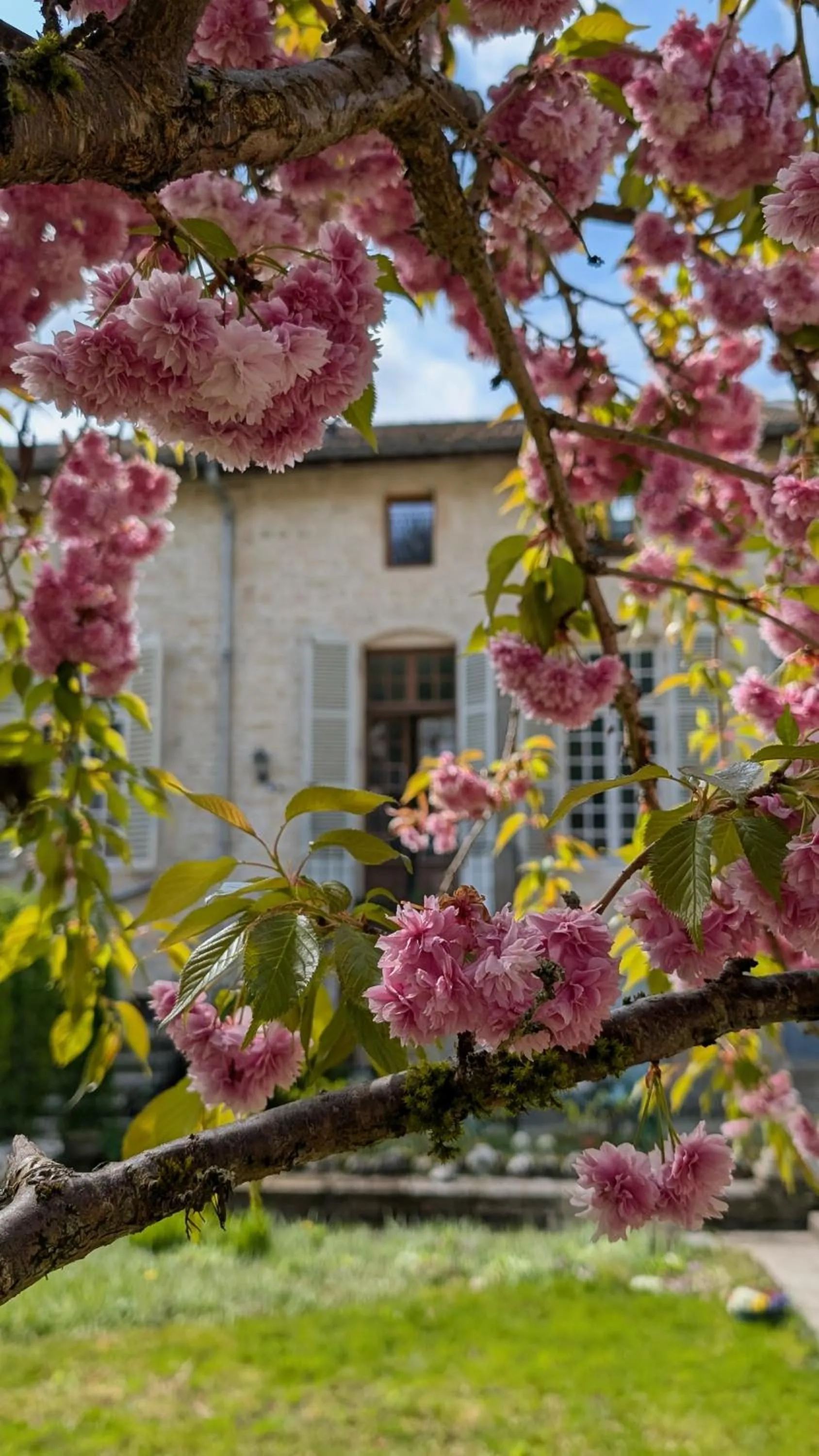 Le Val du Roy