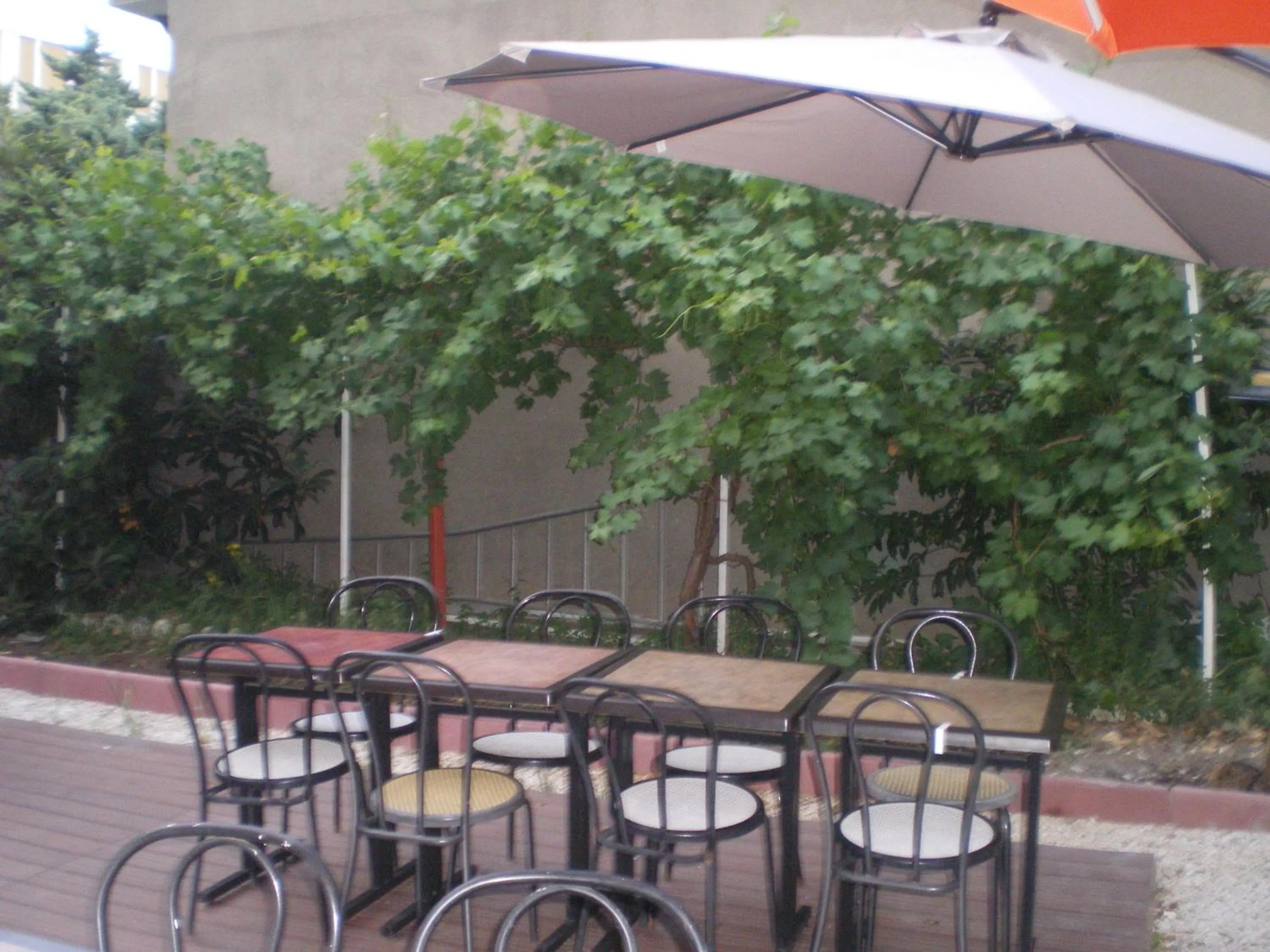 Patio in Hôtel Le Bellevue - Paris Porte d'Orléans