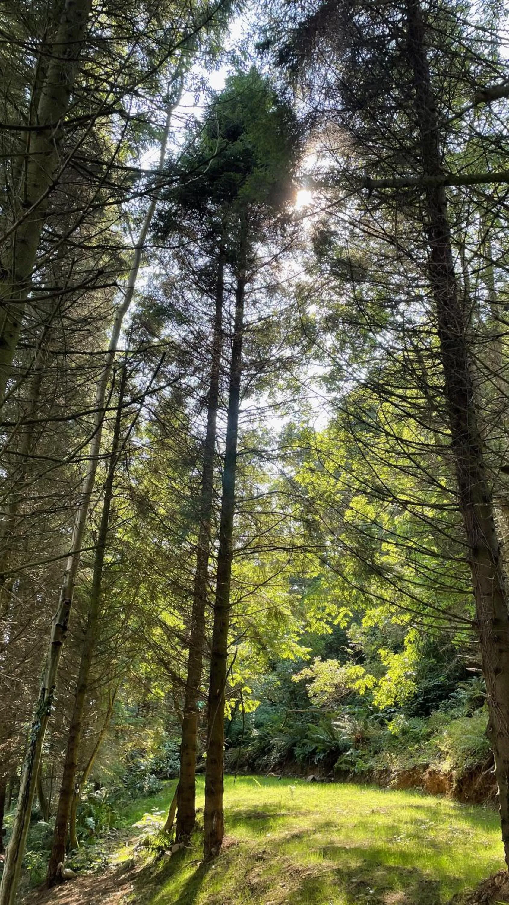 Inch Schoolhouse - Event Residence