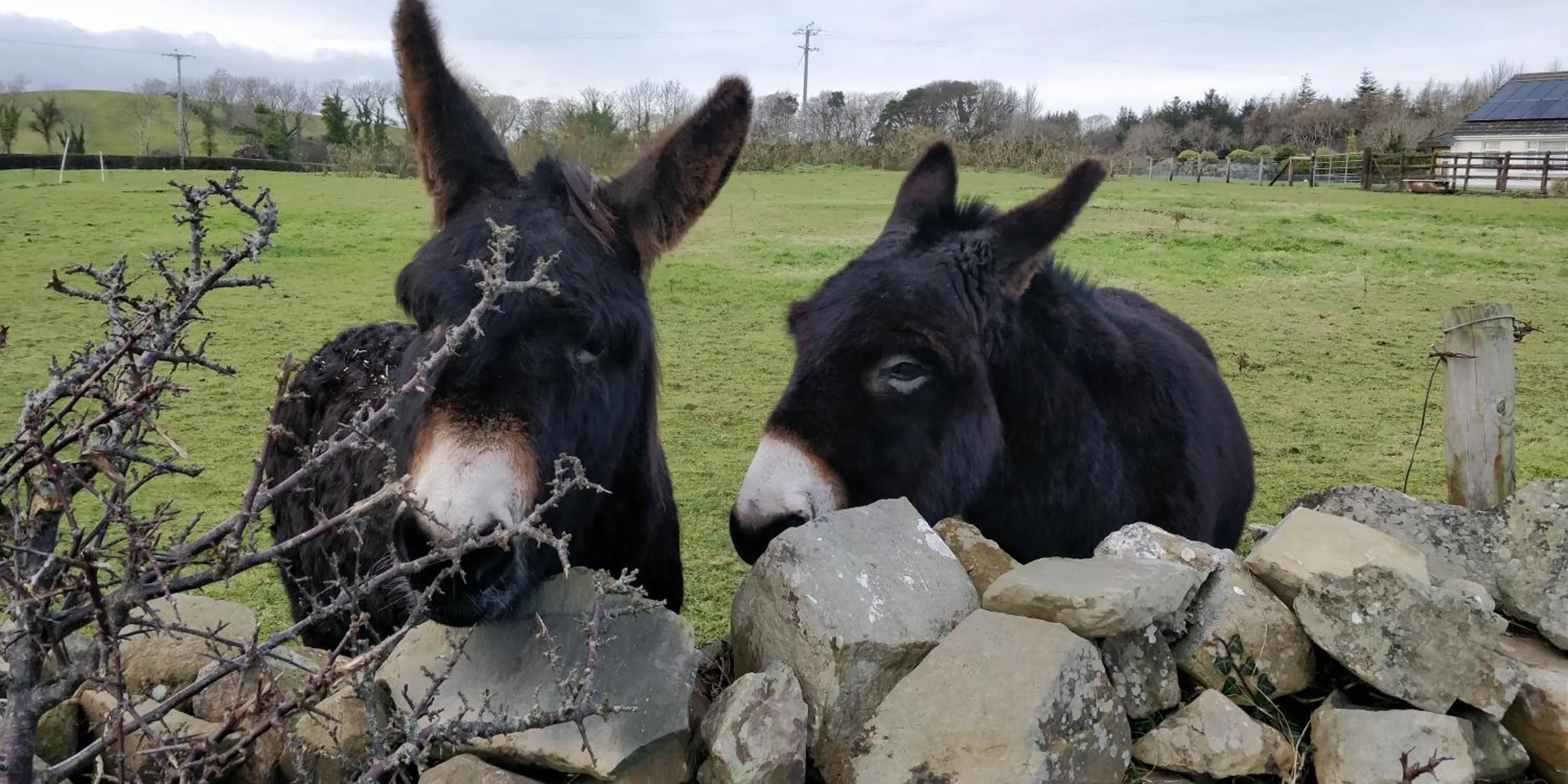 Inch Schoolhouse - Event Residence