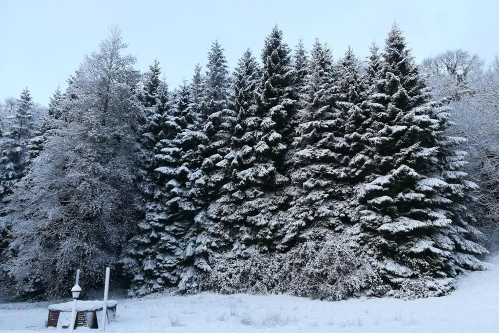 Inch Schoolhouse - Event Residence