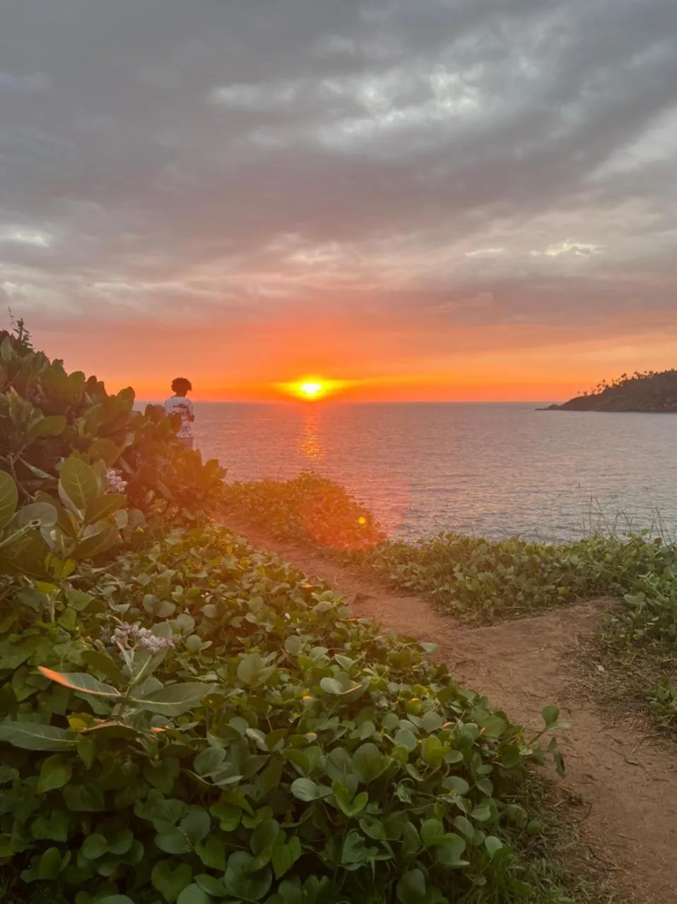 Natural landscape in One World Mirissa