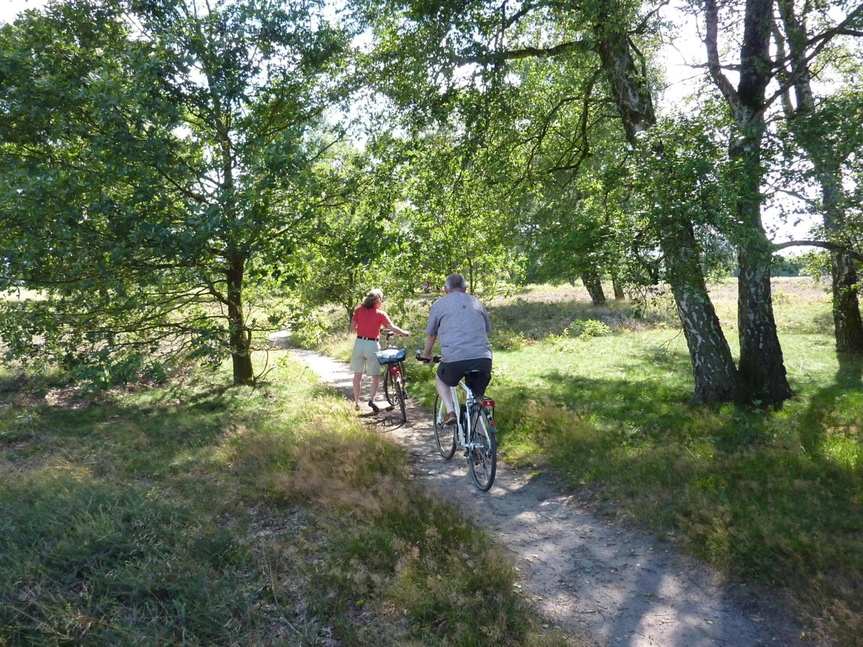 Cycling in Akzent Hotel Zur Wasserburg - Hotel Garni bed & breakfast