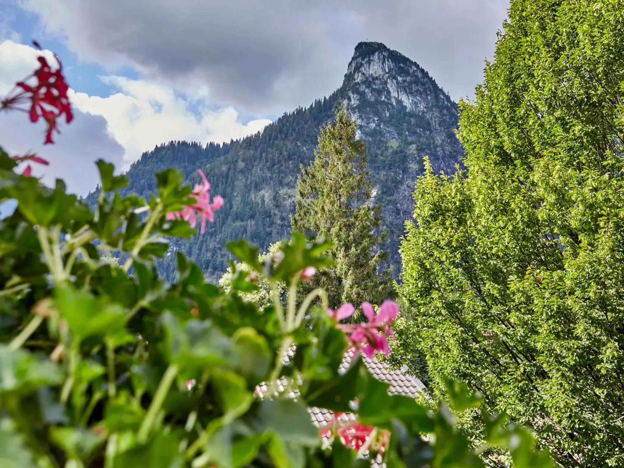 Mountain View in AKZENT Hotel Turmwirt ***S