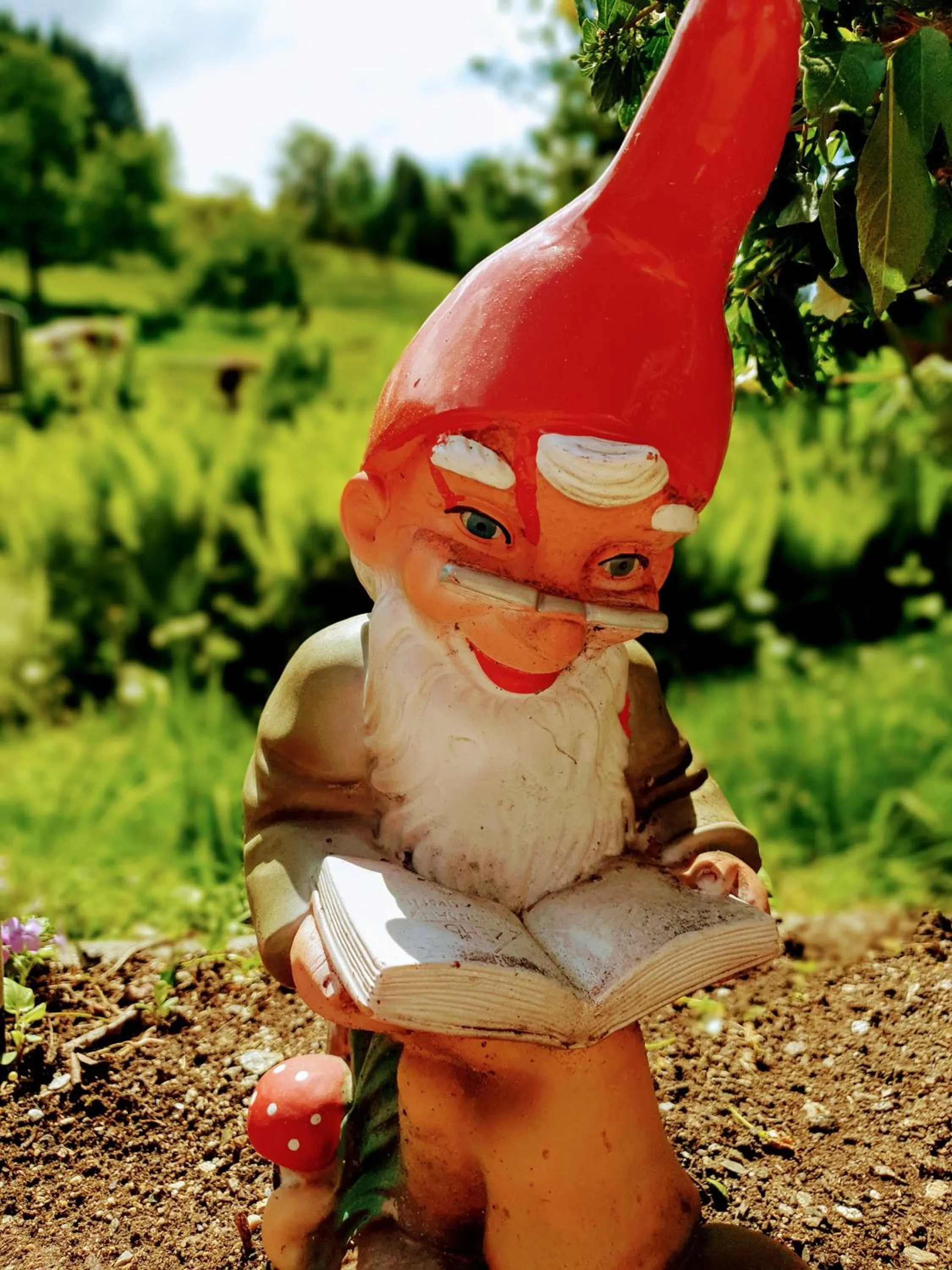 Mühlnerhof Familie Gruber