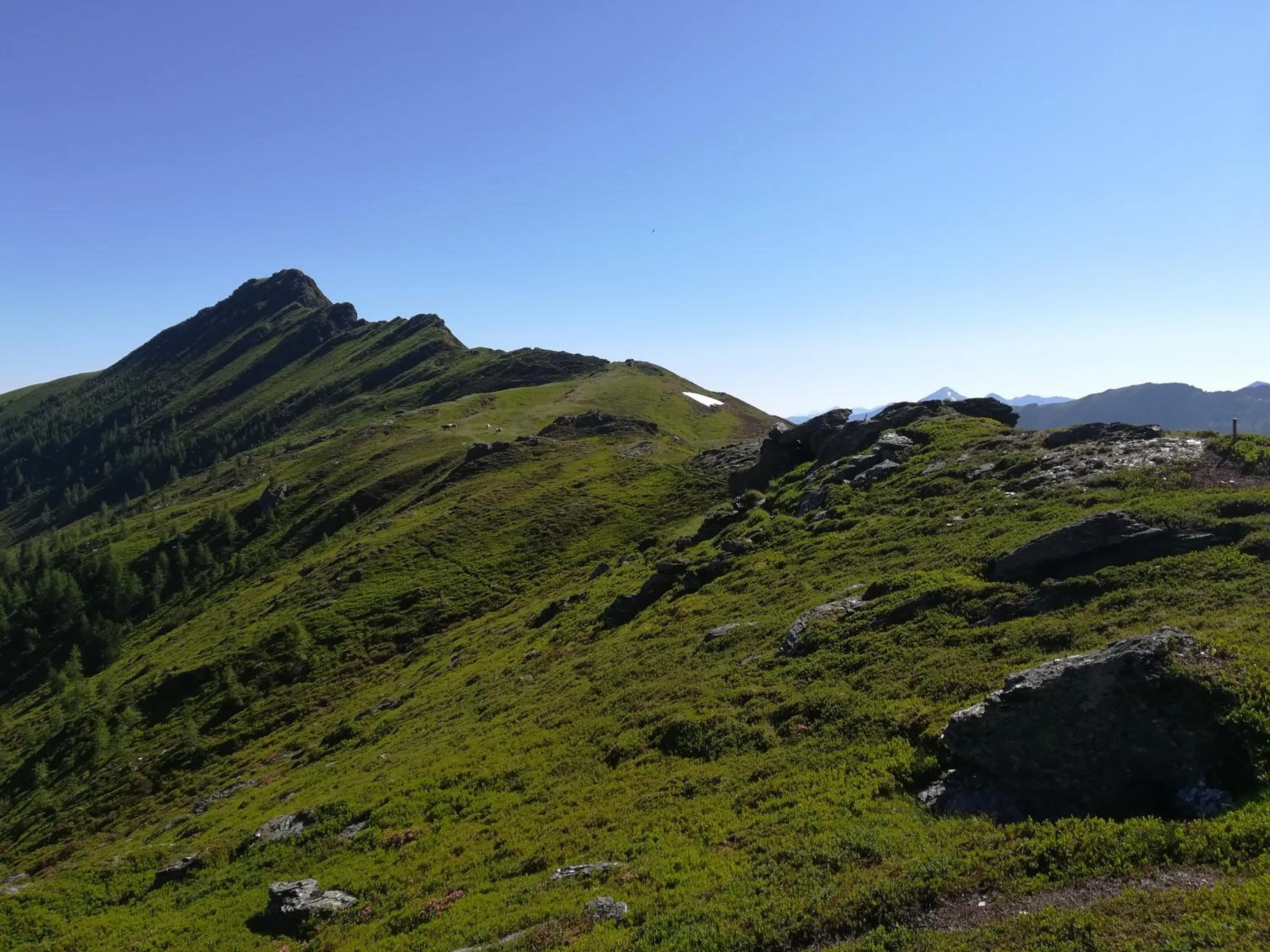 Mühlnerhof Familie Gruber