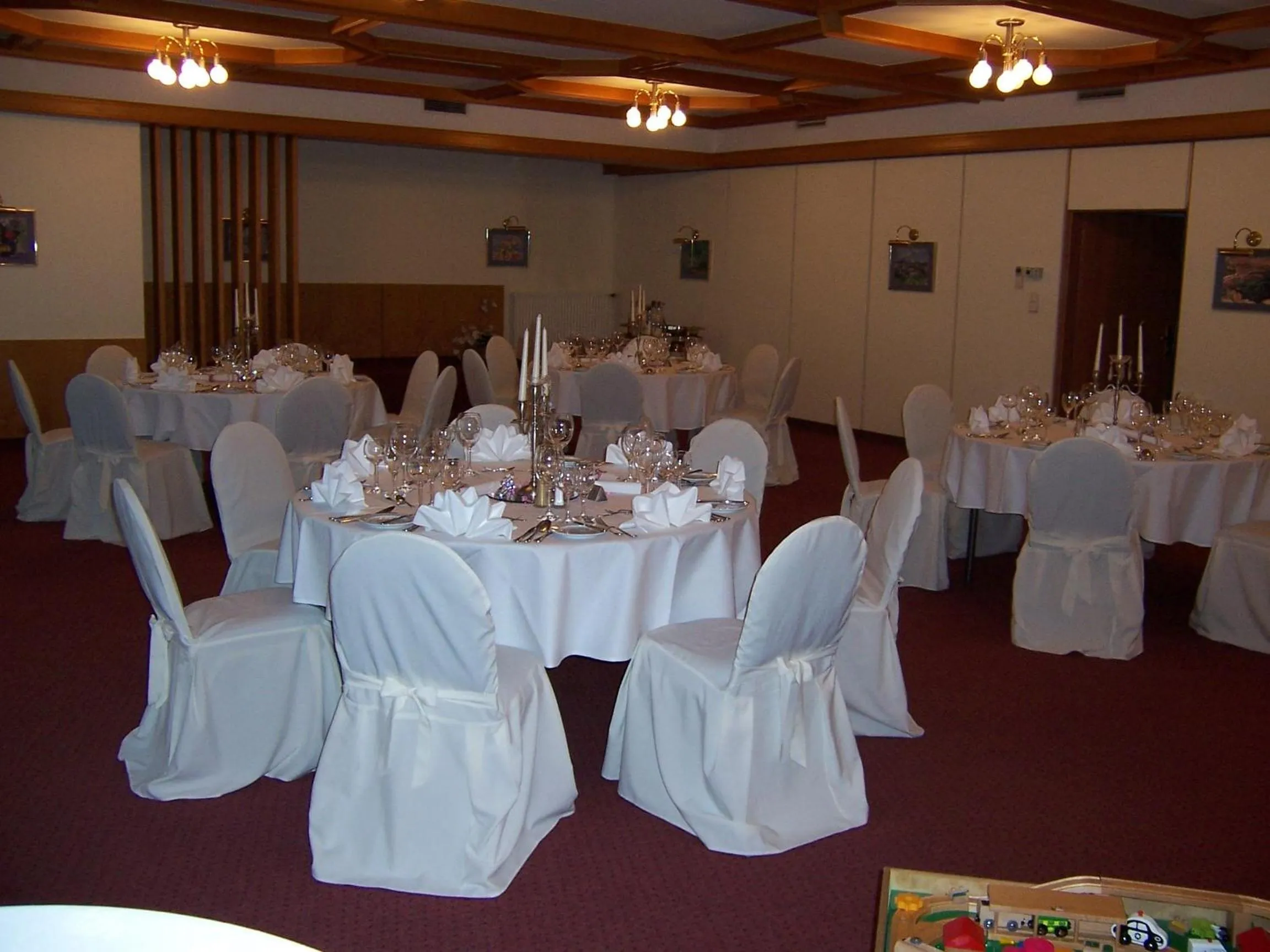 Banquet/Function facilities in Schloss Hotel Herborn