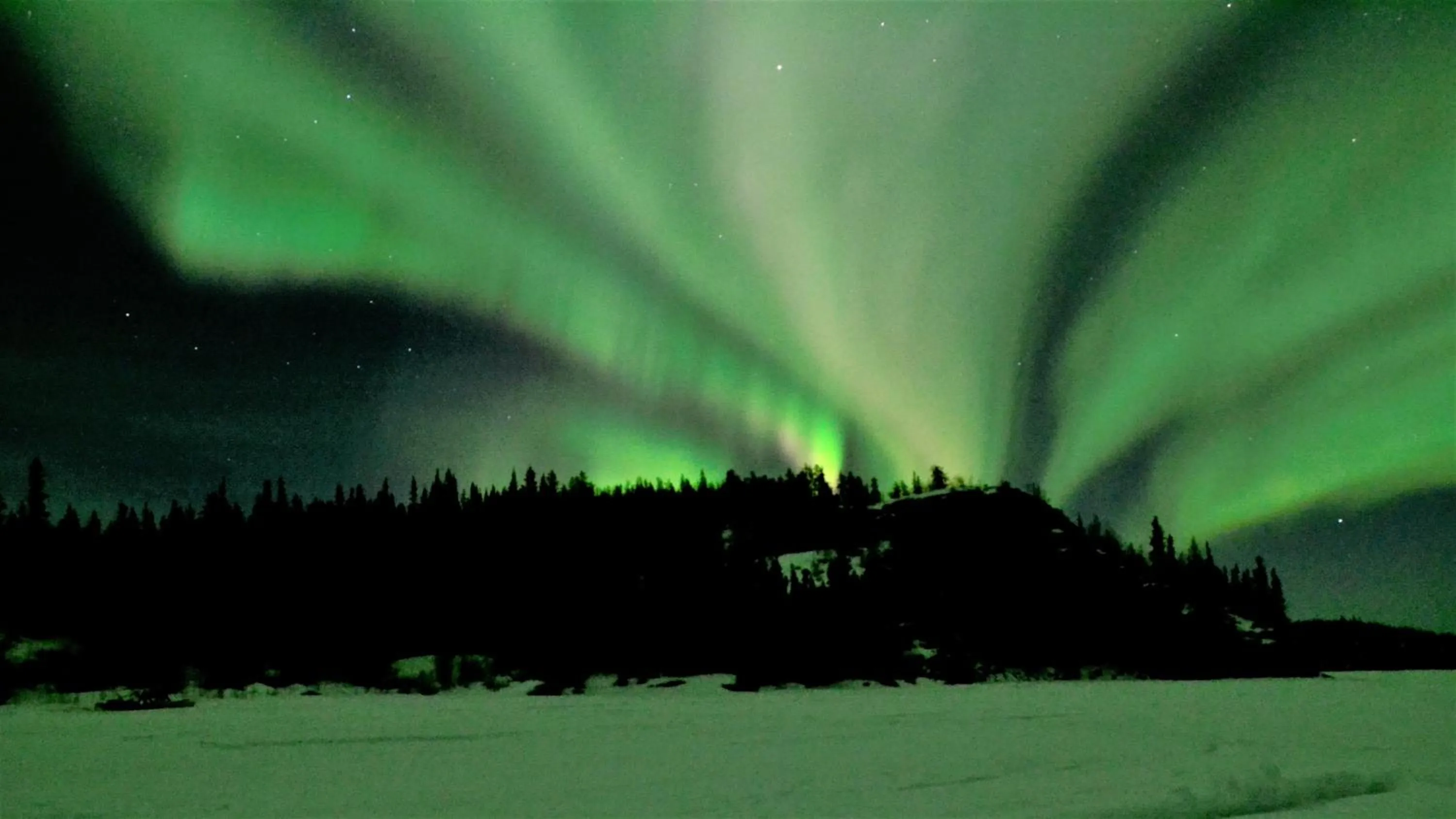 Natural landscape in Yellow Dog Lodge, Inc.