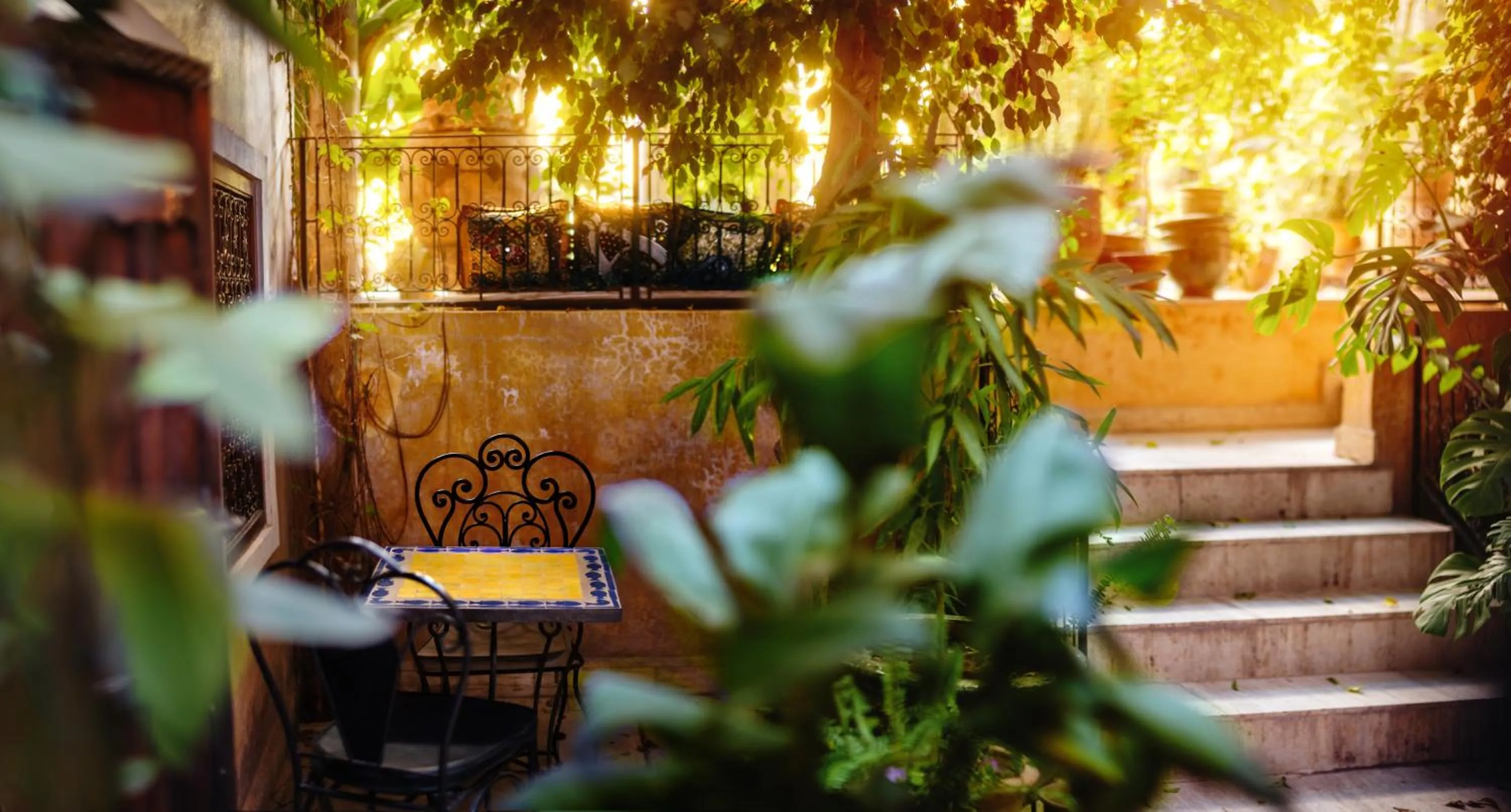 Patio in Riad Roxanne