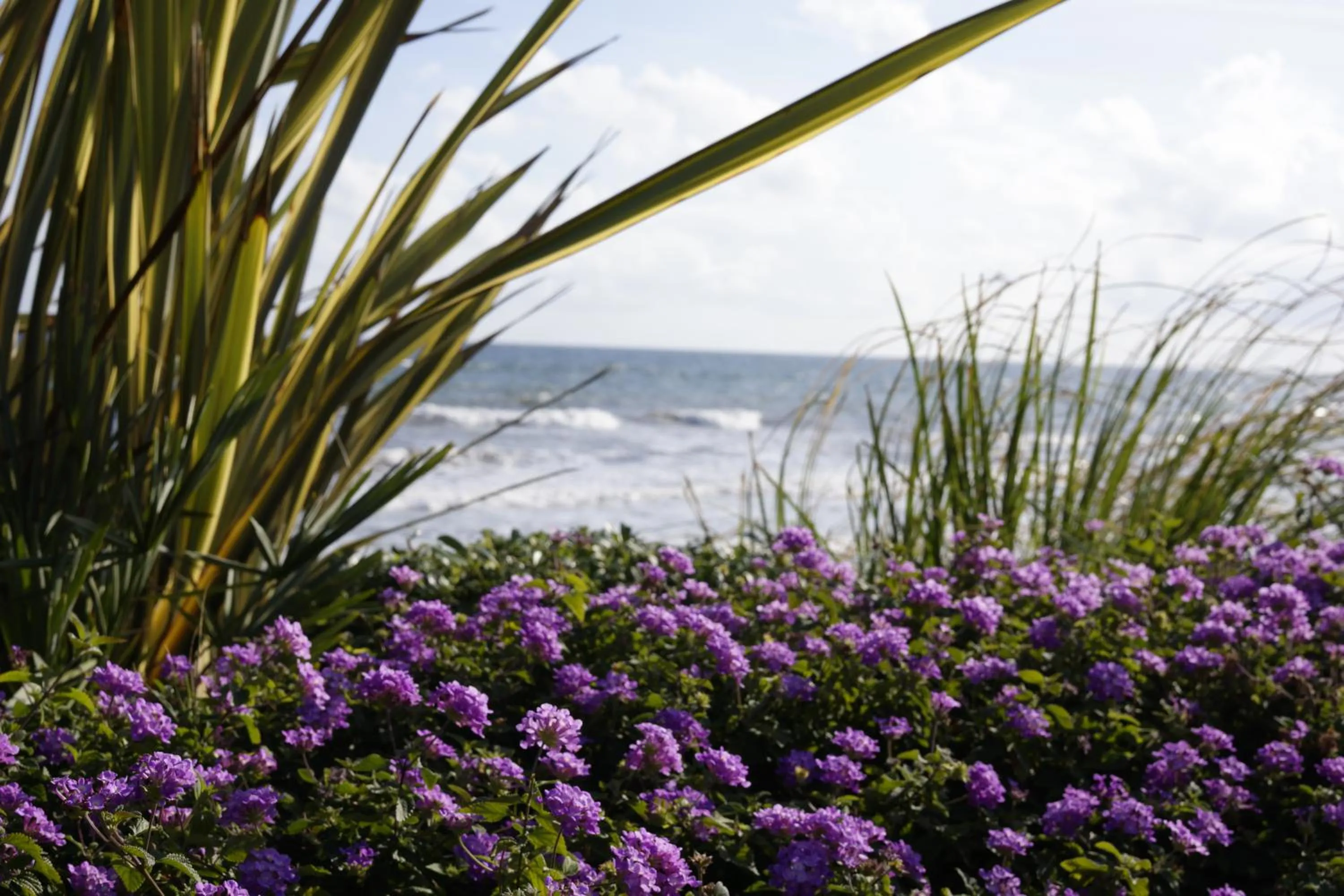 Sea view in Bahía Boutique Apartments