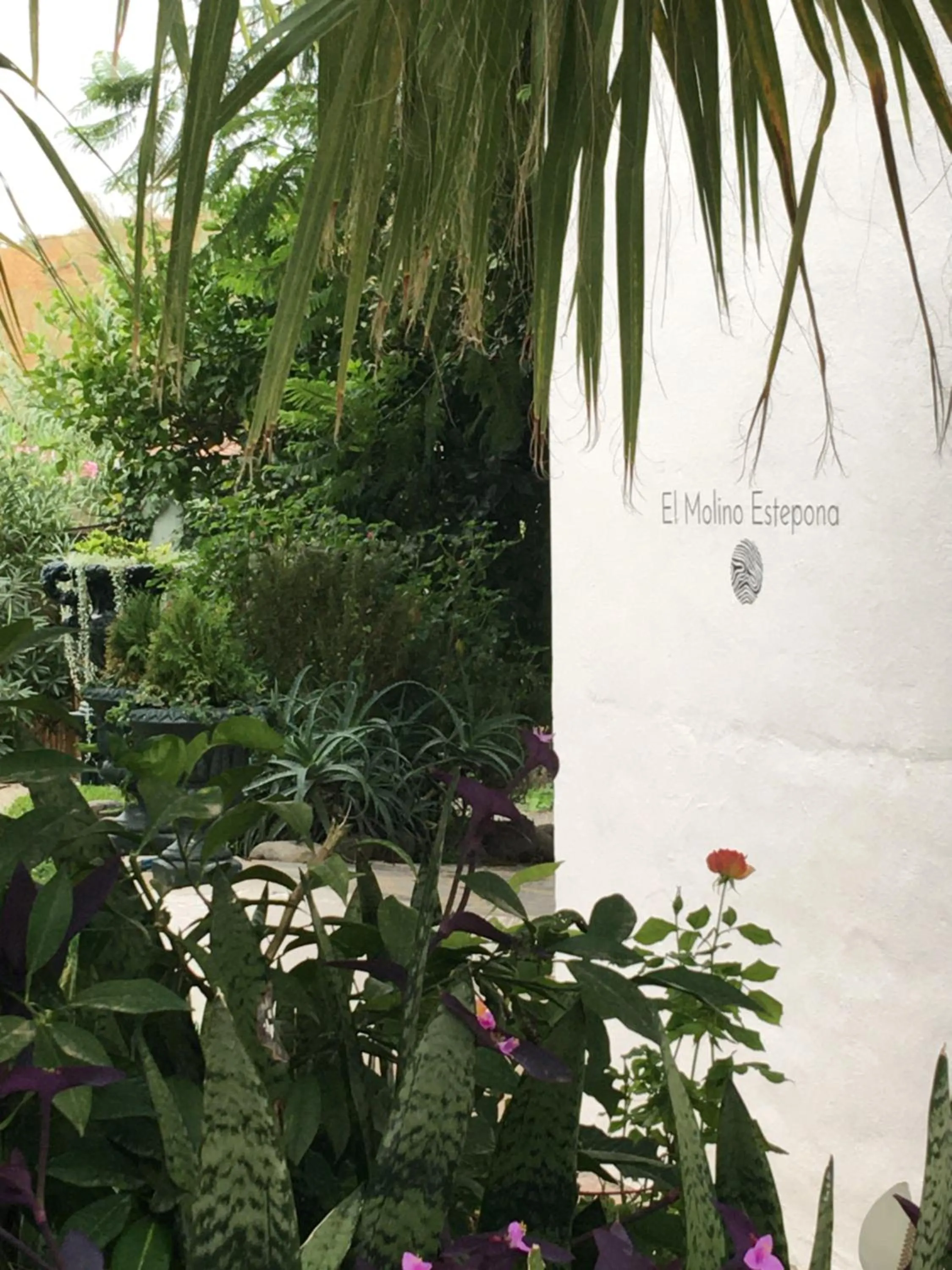 El Molino Estepona