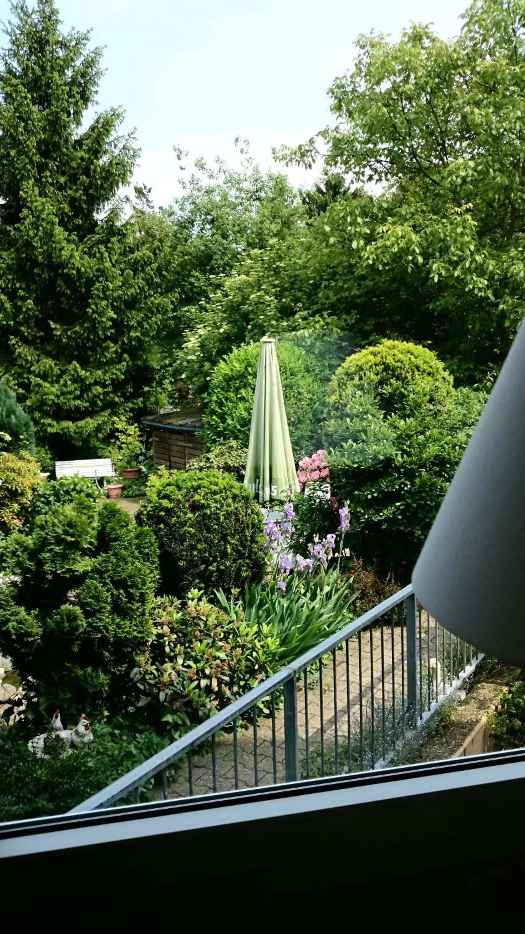 Garden in Hotel Villa Verde
