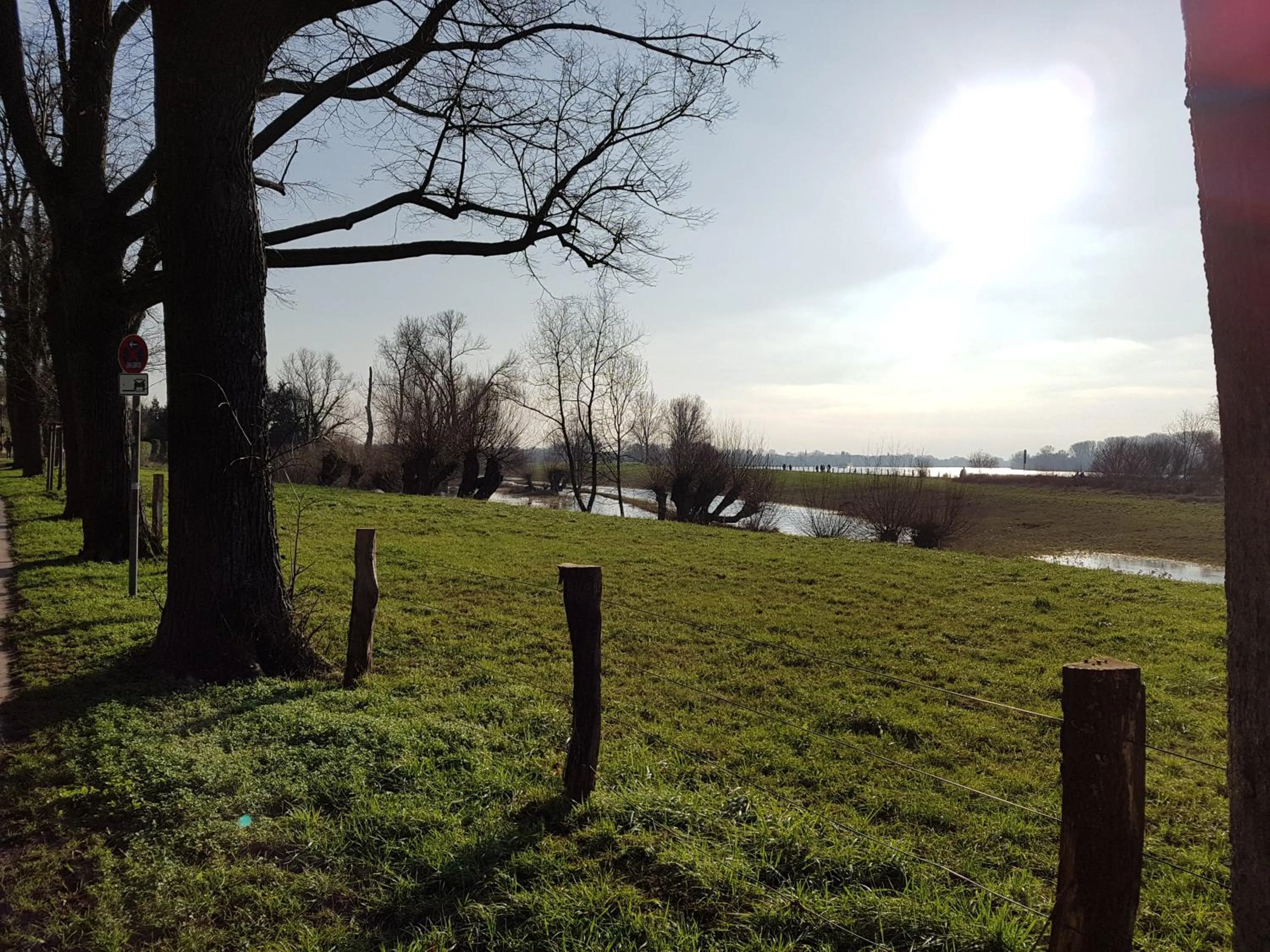 Natural landscape in Hotel Villa Verde