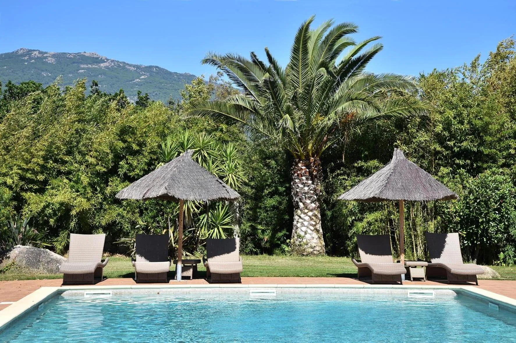 Swimming pool in Terracorse