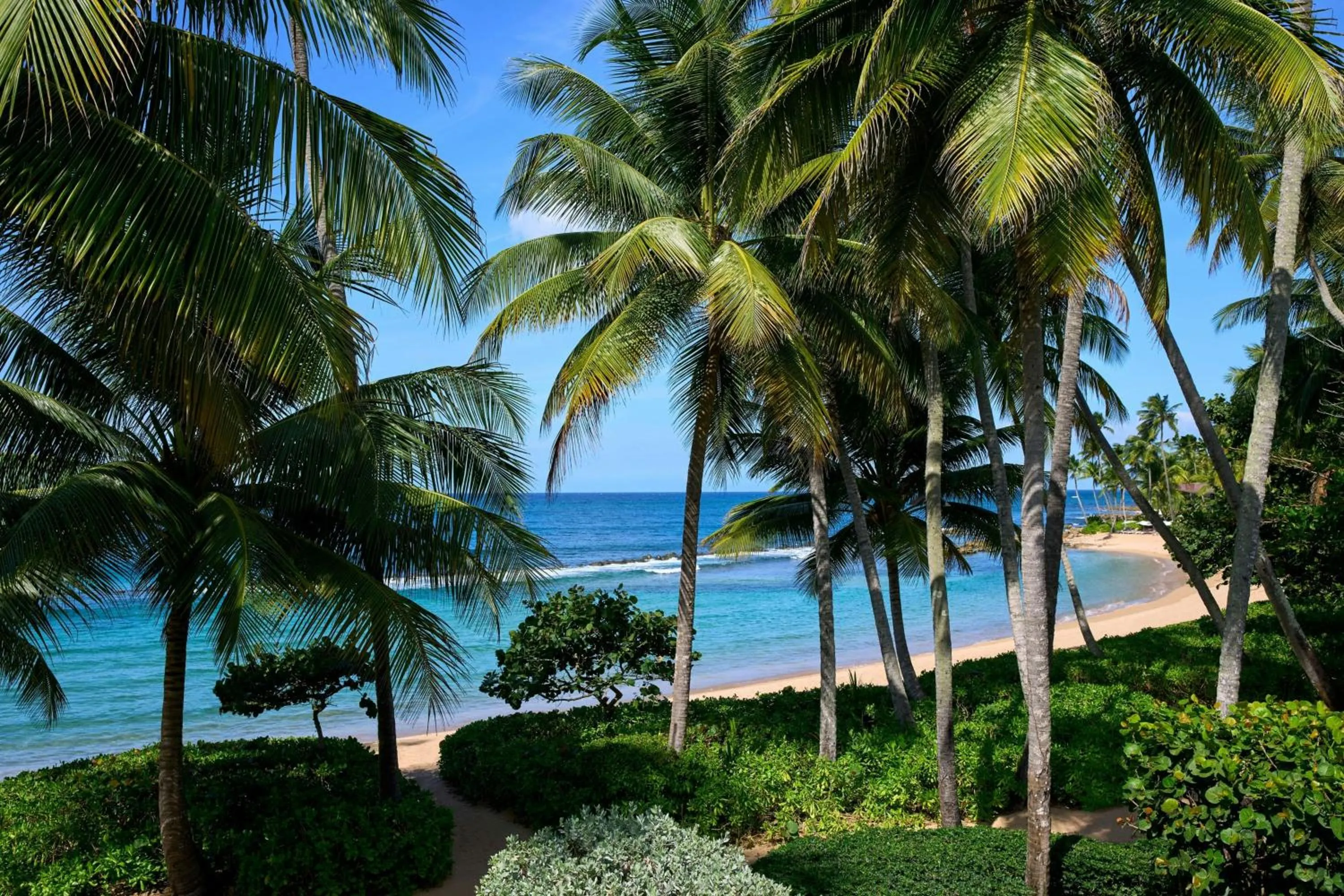 Photo of the whole room in Dorado Beach, a Ritz-Carlton Reserve